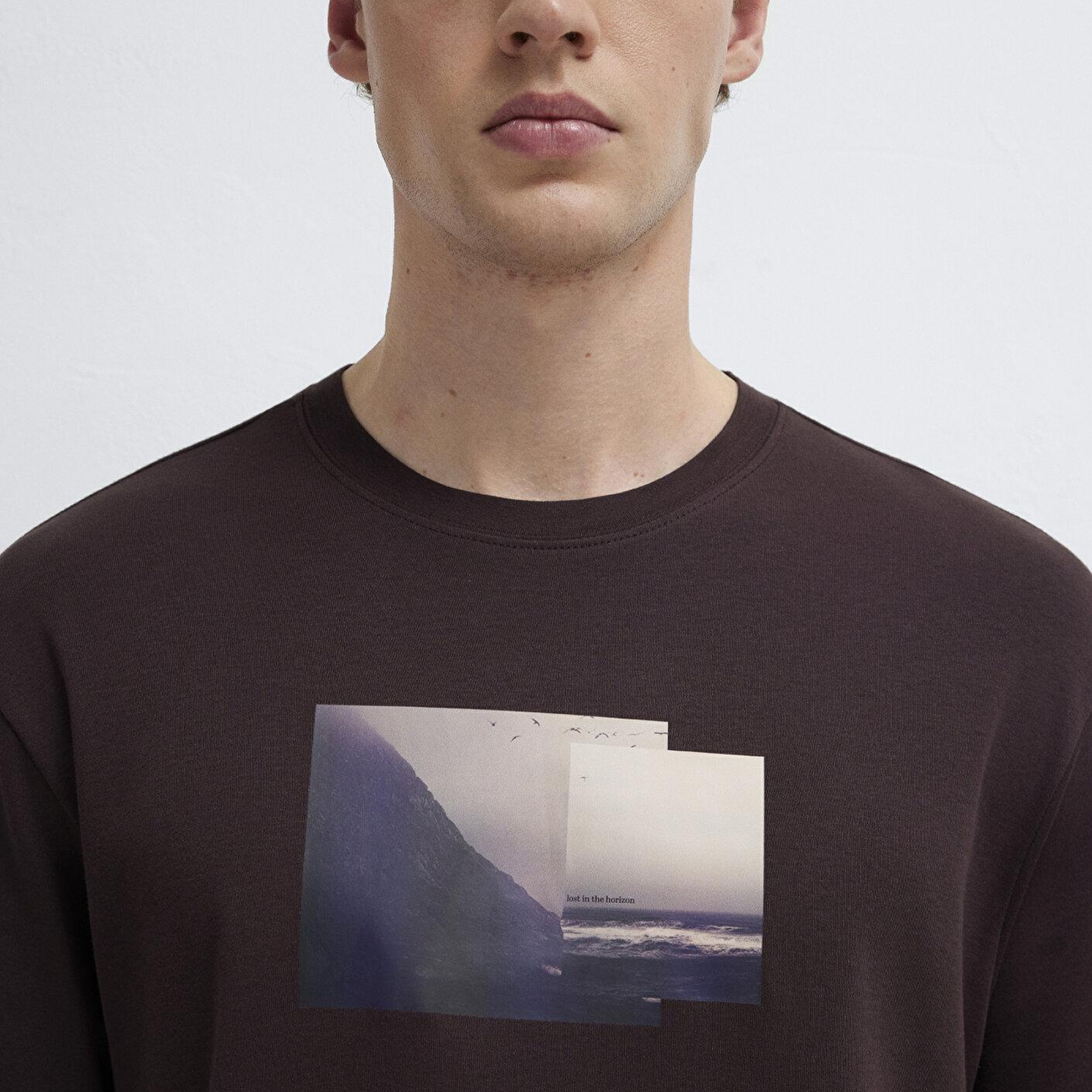 Mavi Baskılı Kahverengi Tişört Loose Fit / Bol Rahat Kesim 0613603-88083