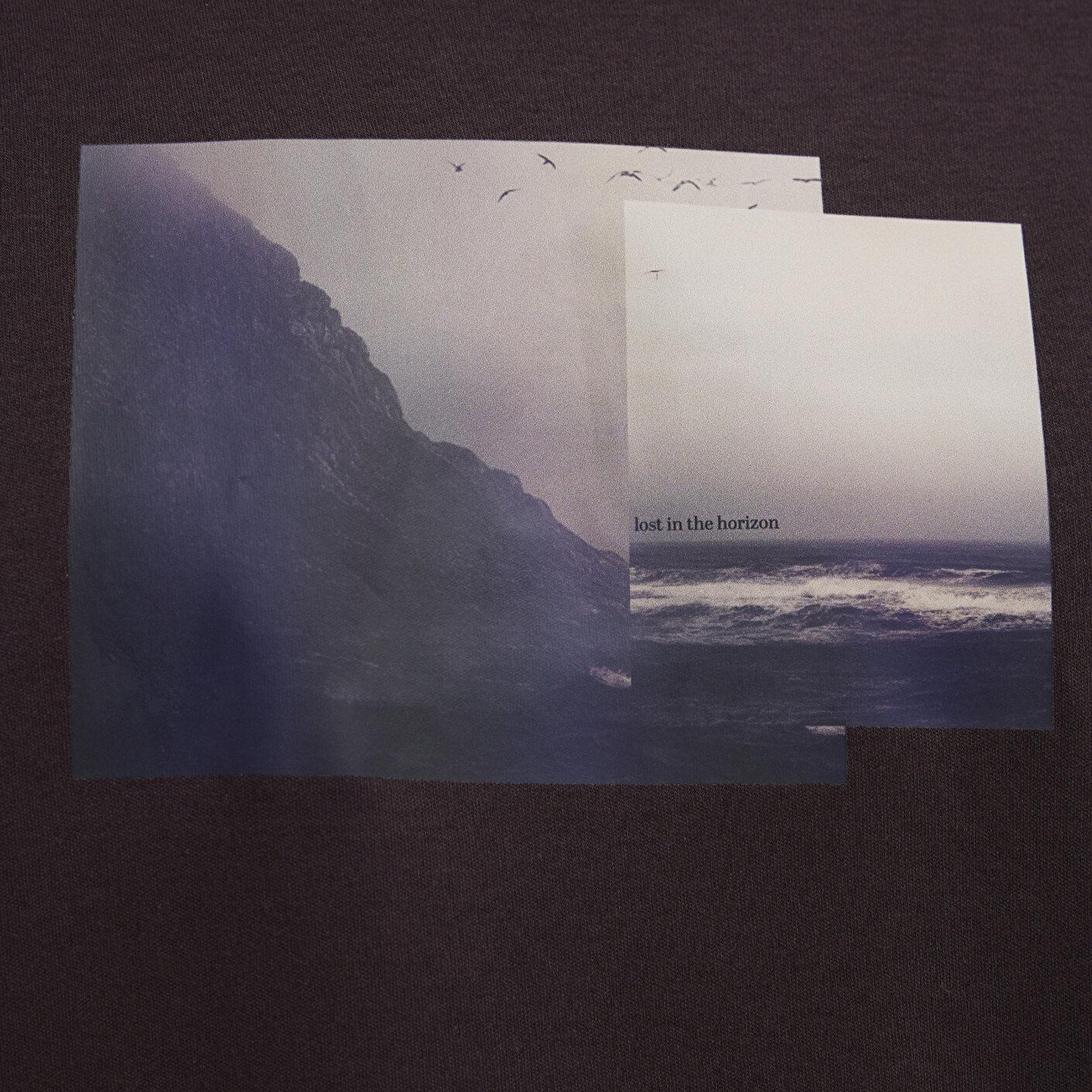 Mavi Baskılı Kahverengi Tişört Loose Fit / Bol Rahat Kesim 0613603-88083