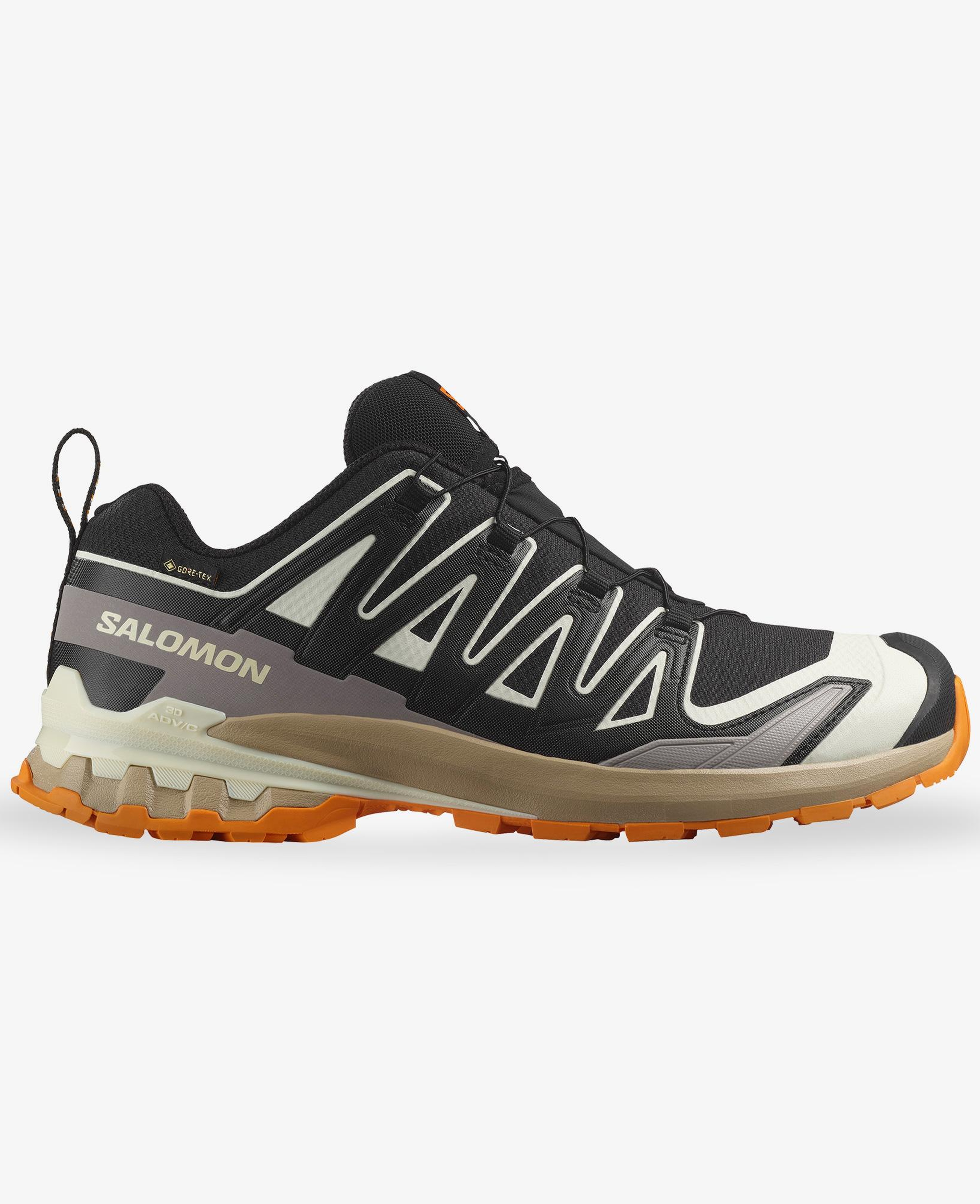 Salomon Xa Pro 3D V9 Gore-Tex Erkek Siyah Outdoor Ayakkabı