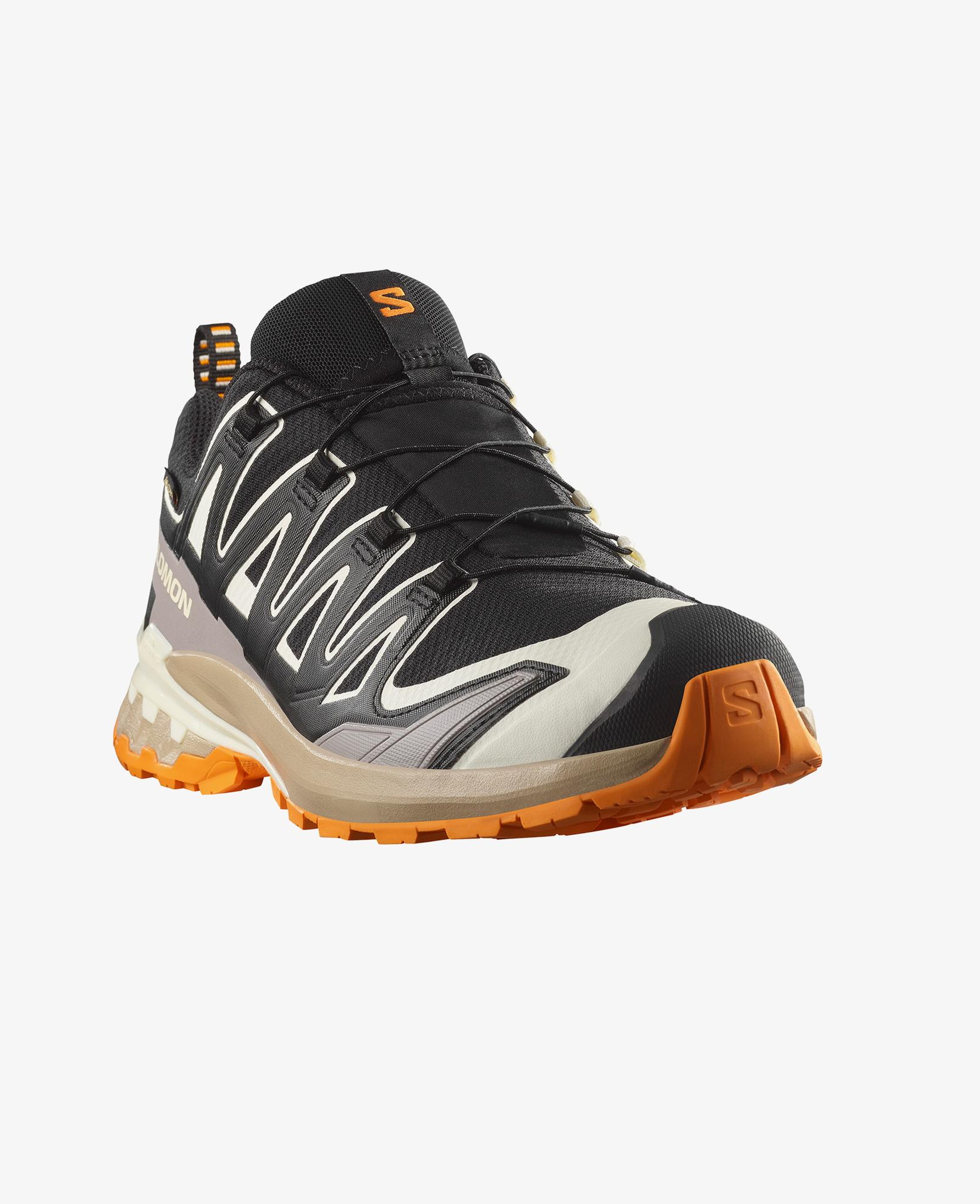 Salomon Xa Pro 3D V9 Gore-Tex Erkek Siyah Outdoor Ayakkabı