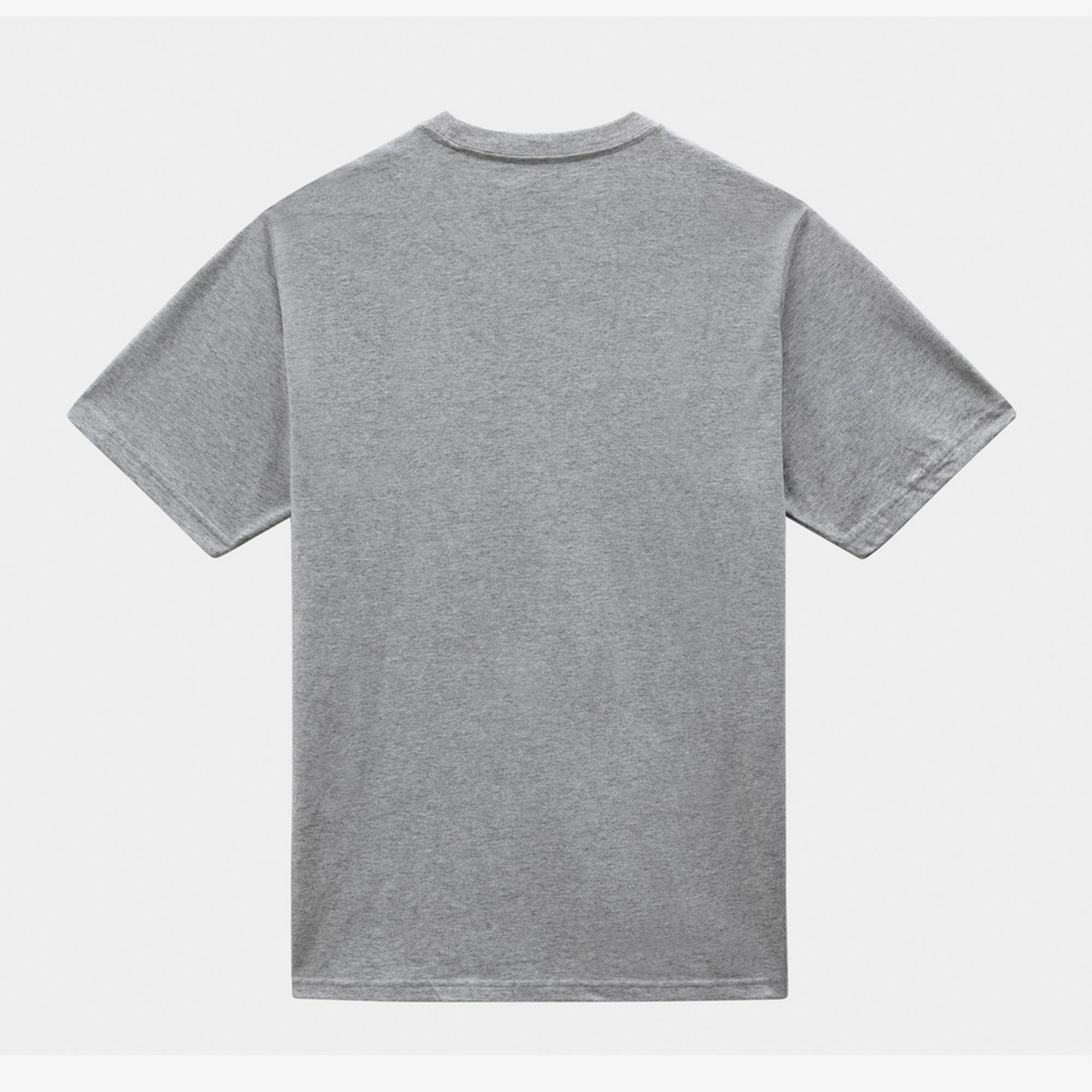 Dickies Mapleton Erkek Gri T-Shirt