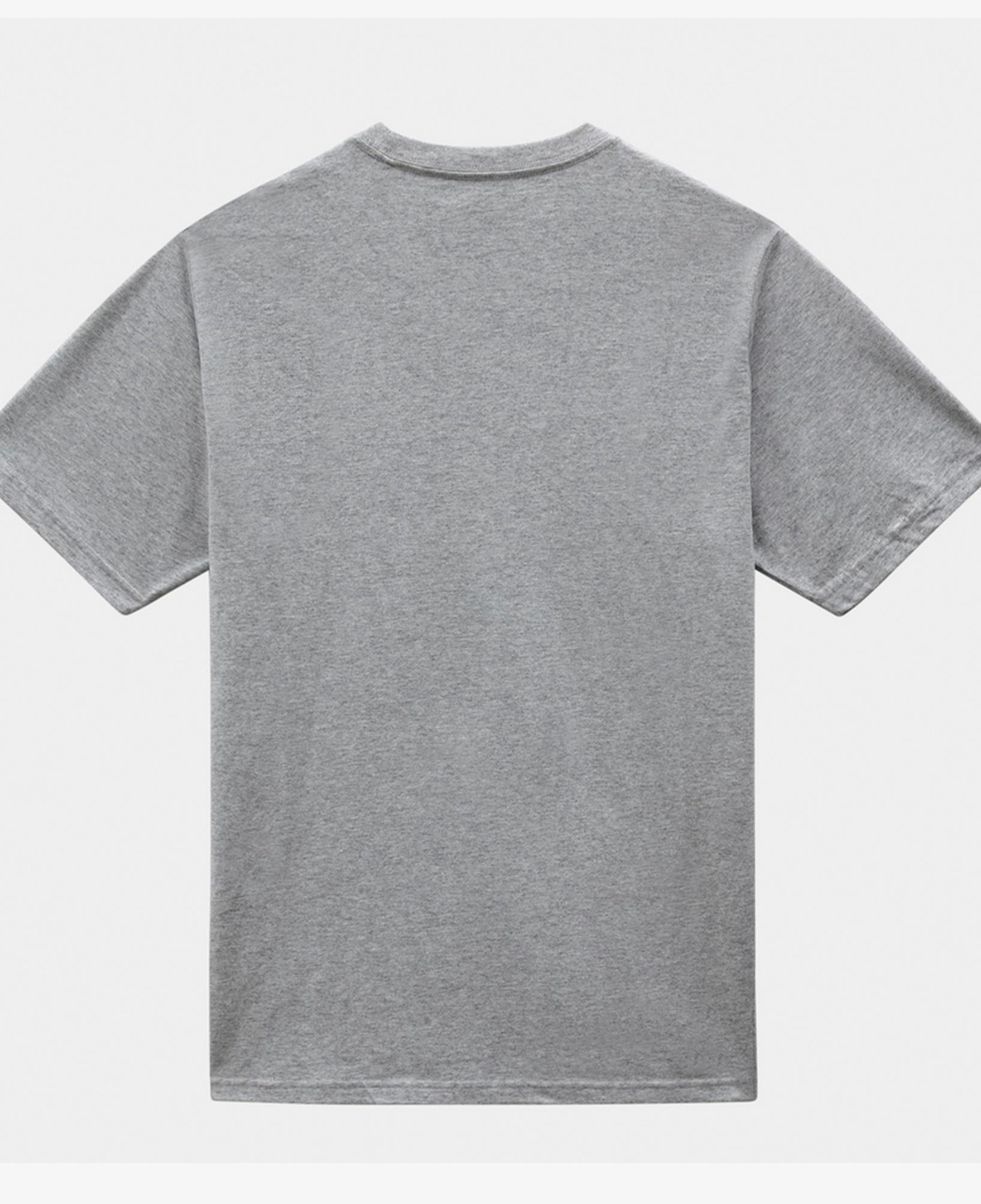 Dickies Mapleton Erkek Gri T-Shirt