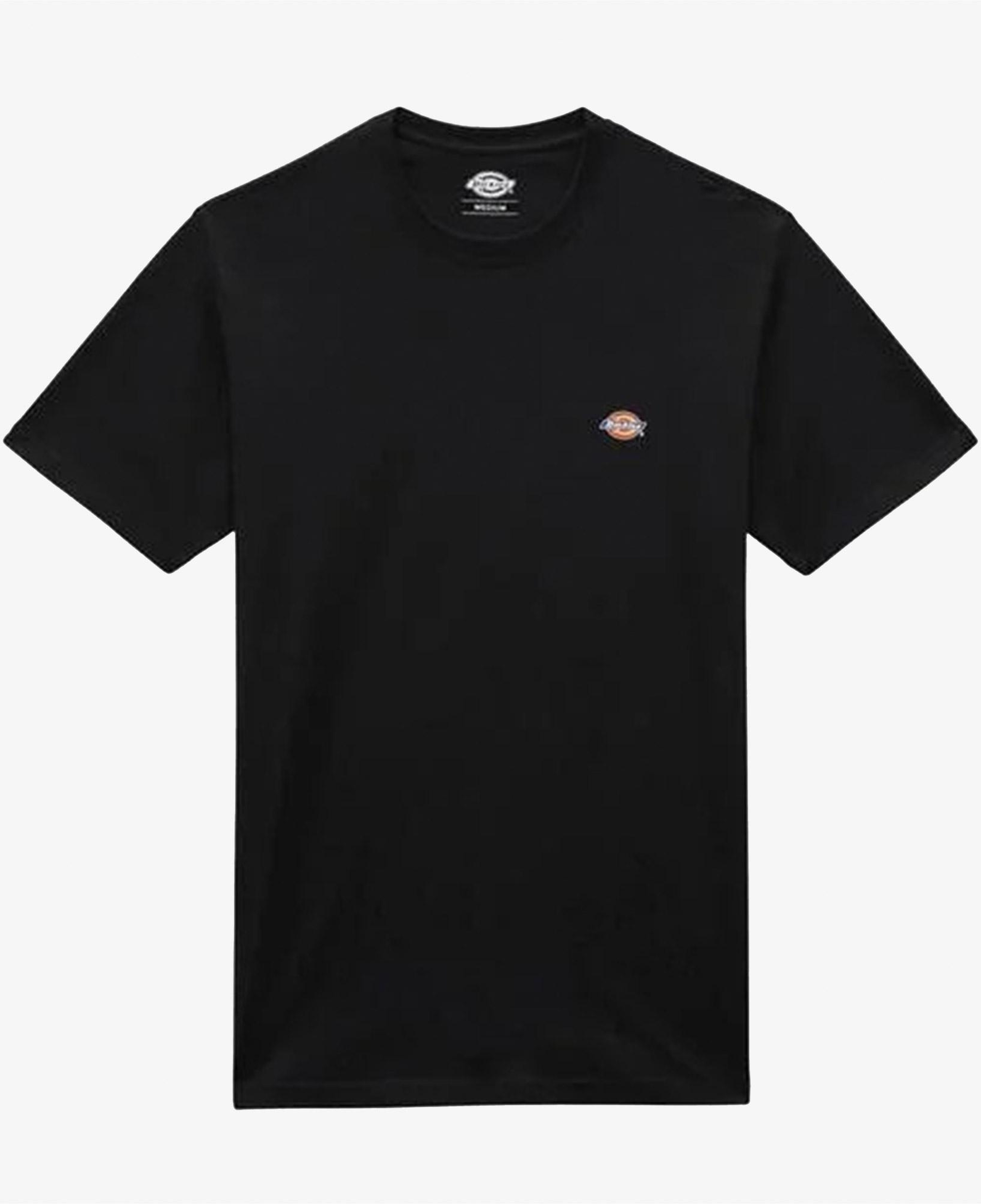 Dickies Mapleton Erkek Siyah T-Shirt