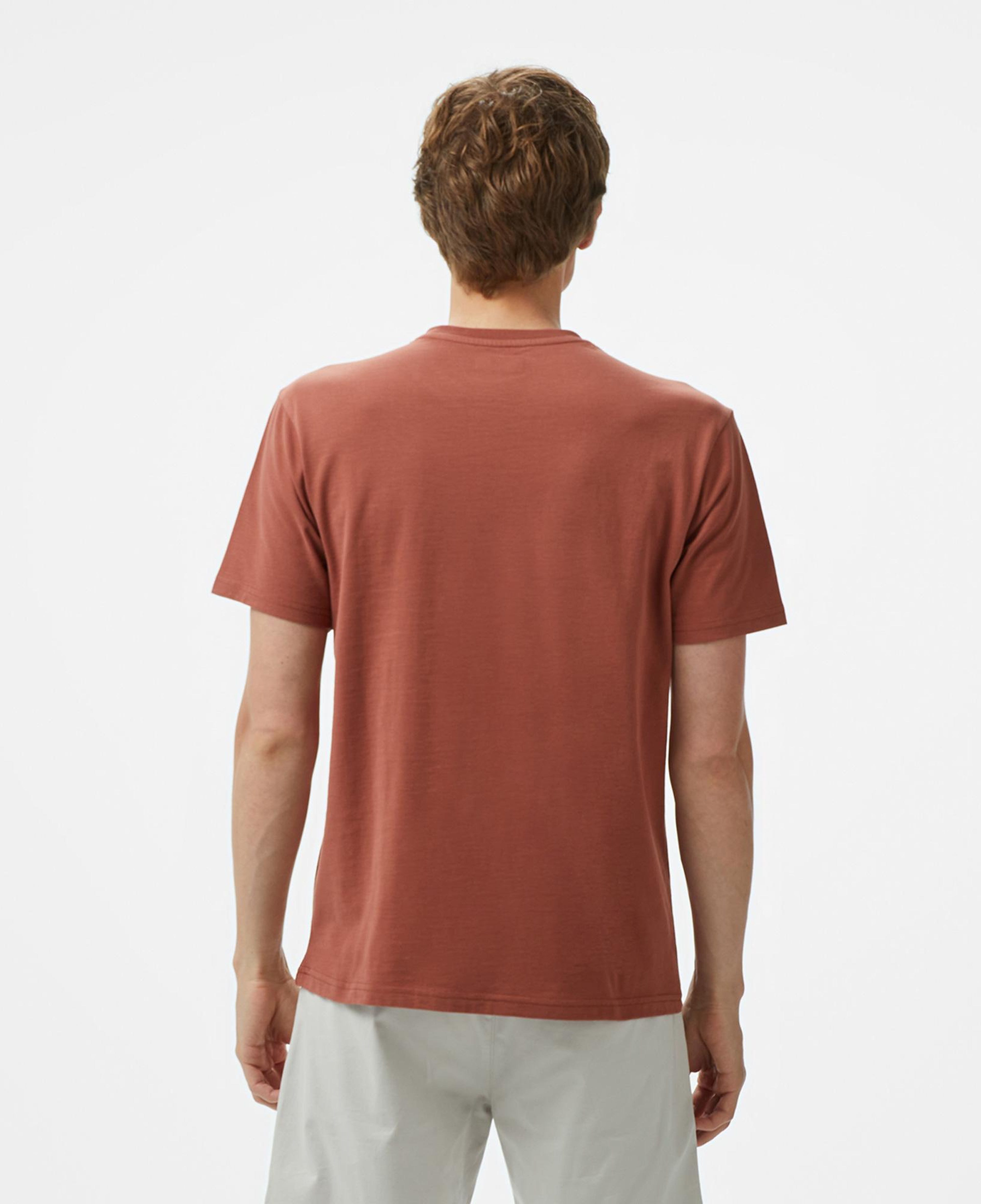Columbia Basic Big Erkek Kahverengi T-Shirt