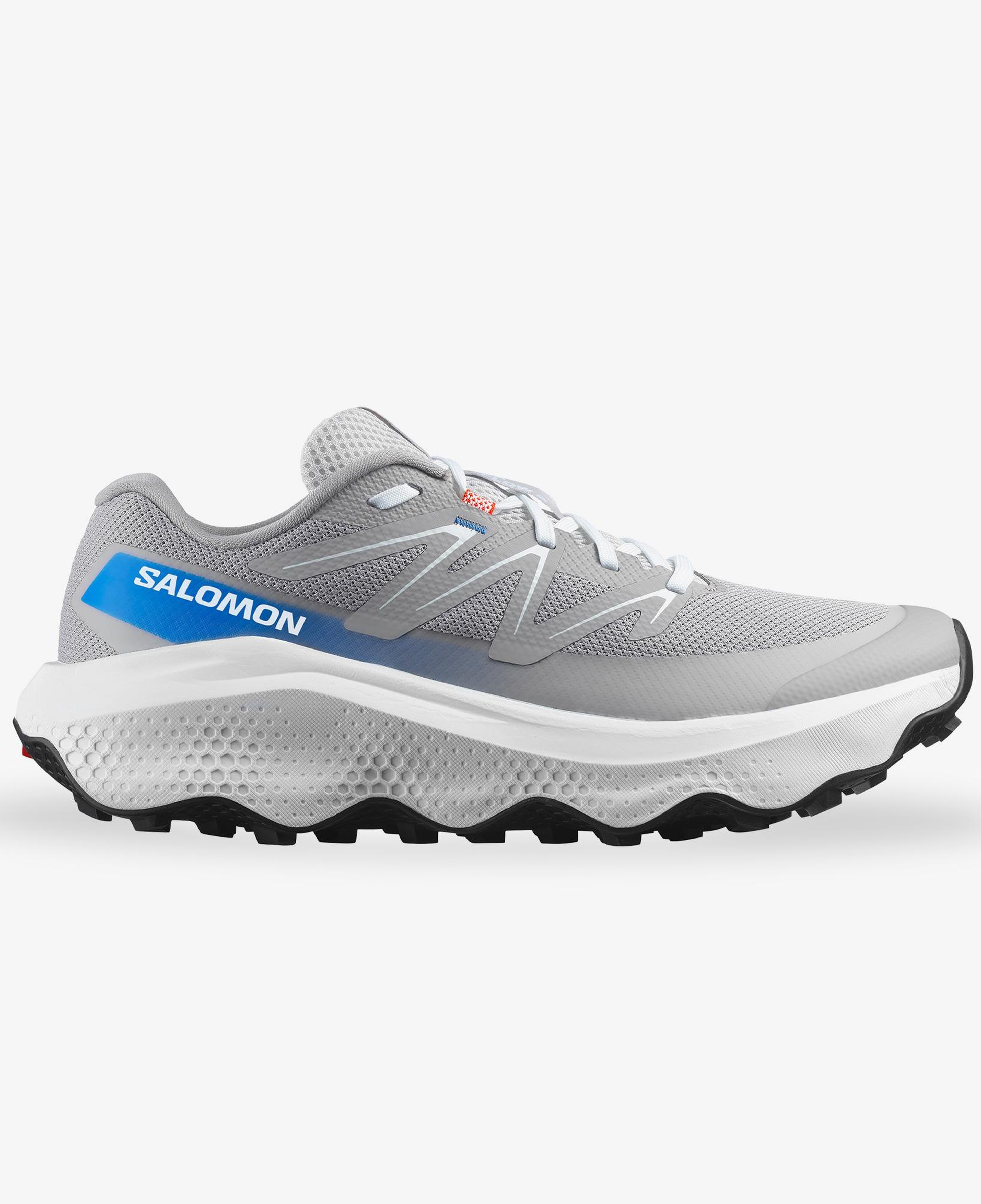 Salomon Ultra Flow 2 Erkek Gri Koşu Ayakkabısı