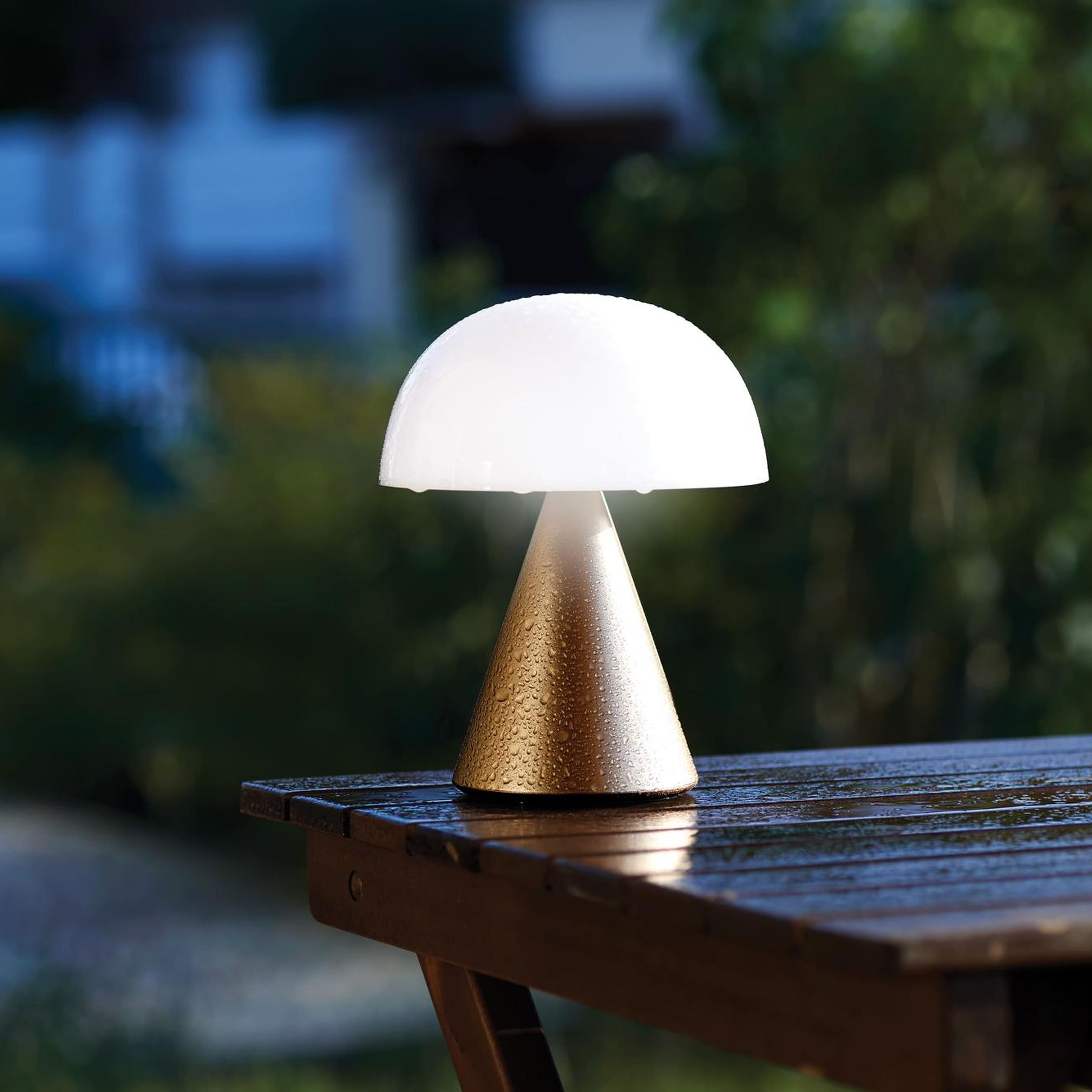Lexon Mina L Led Lamba - Dore