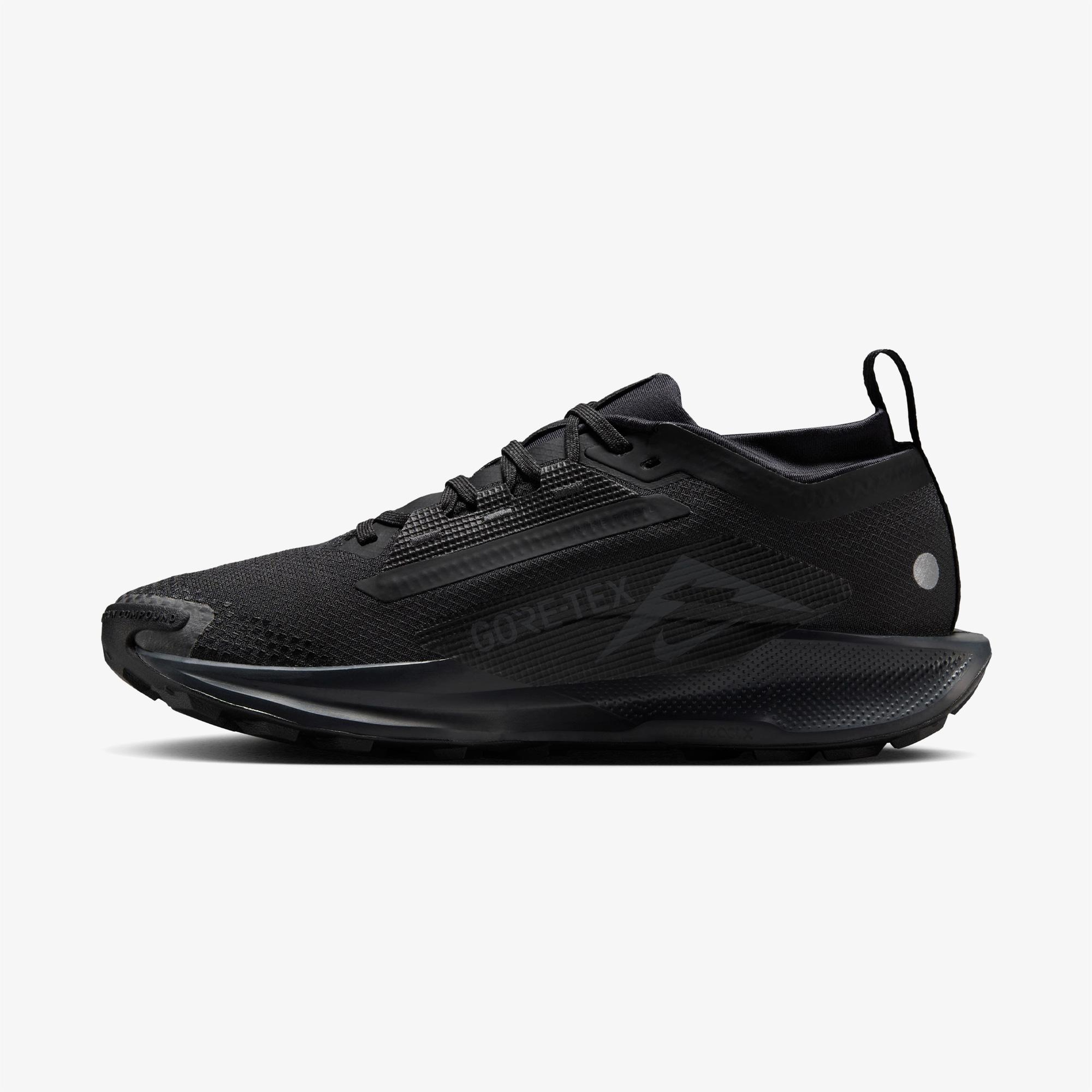Nike Pegasus Trail 5 Gore-Tex Kadın Siyah Koşu Ayakkabısı