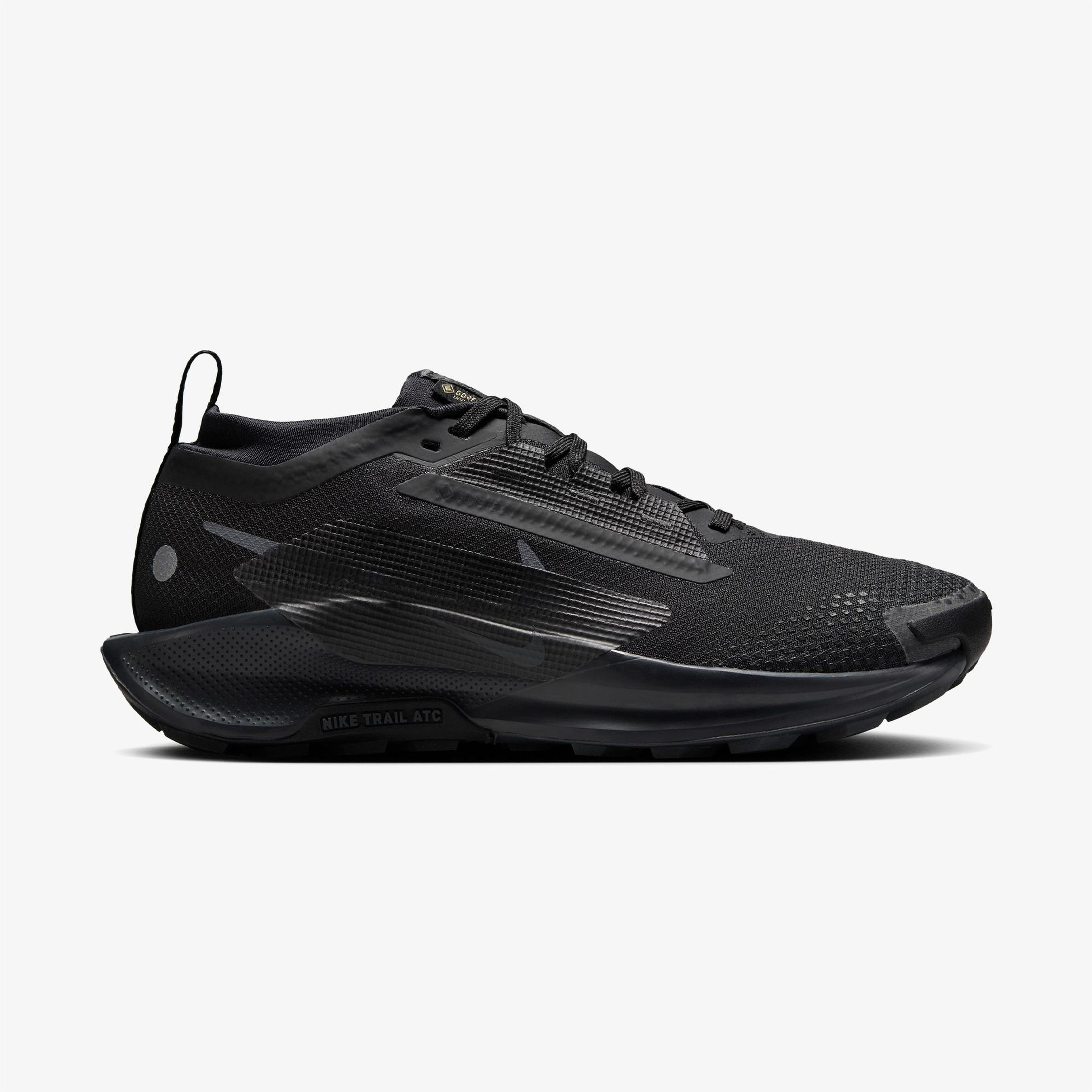 Nike Pegasus Trail 5 Gore-Tex Kadın Siyah Koşu Ayakkabısı