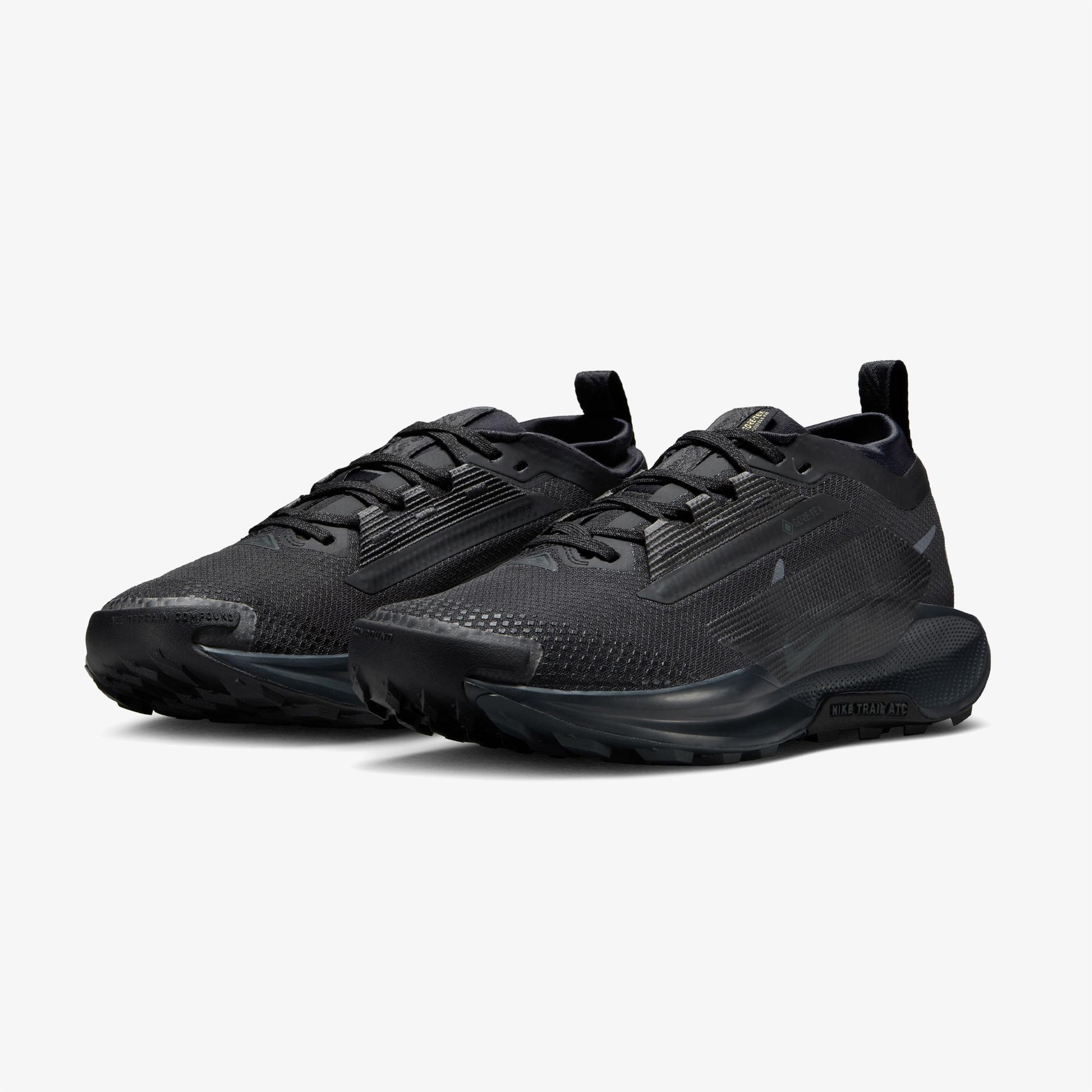 Nike Pegasus Trail 5 Gore-Tex Kadın Siyah Koşu Ayakkabısı