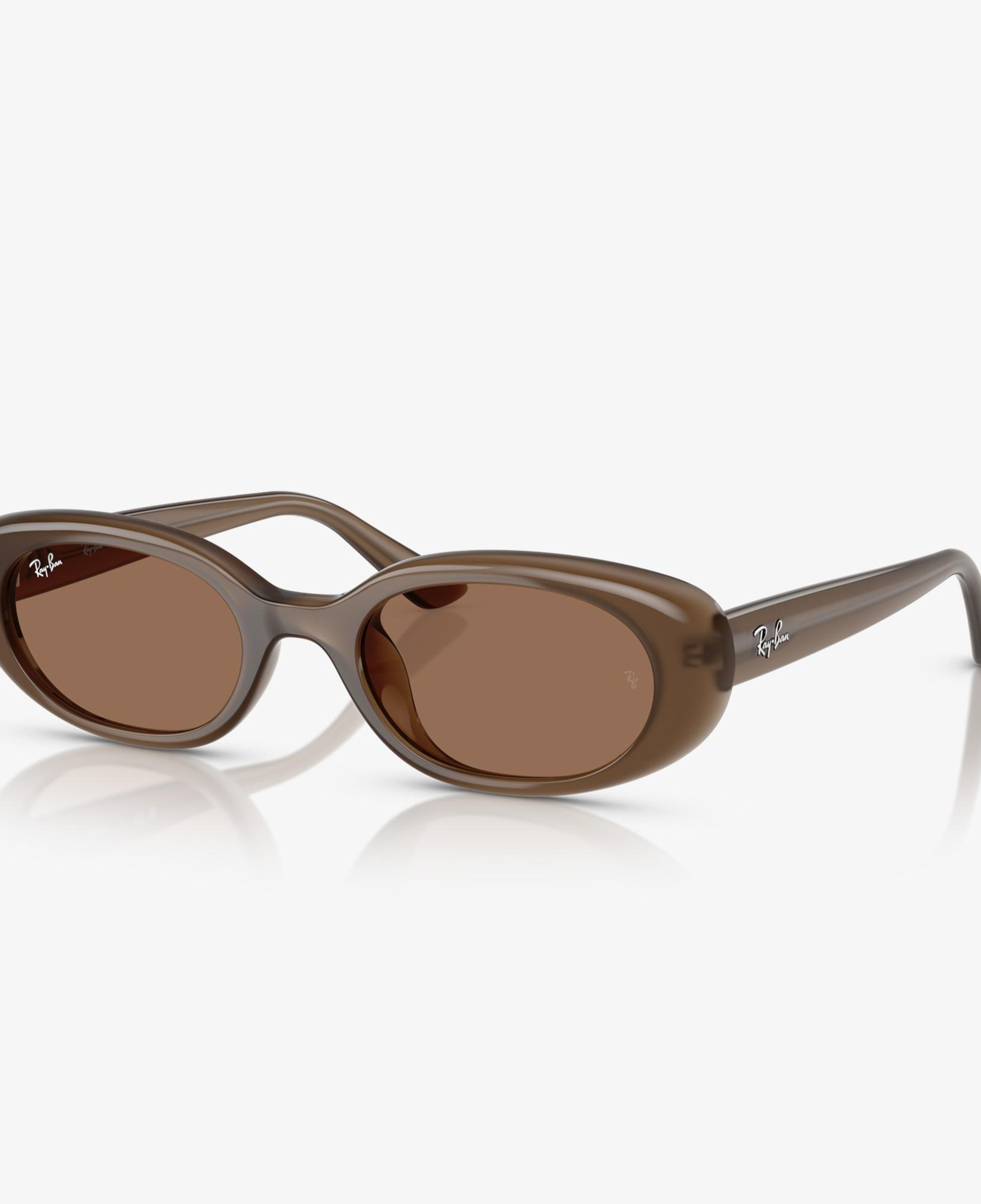 Ray-Ban RB4441D Unisex Kahverengi Güneş Gözlüğü