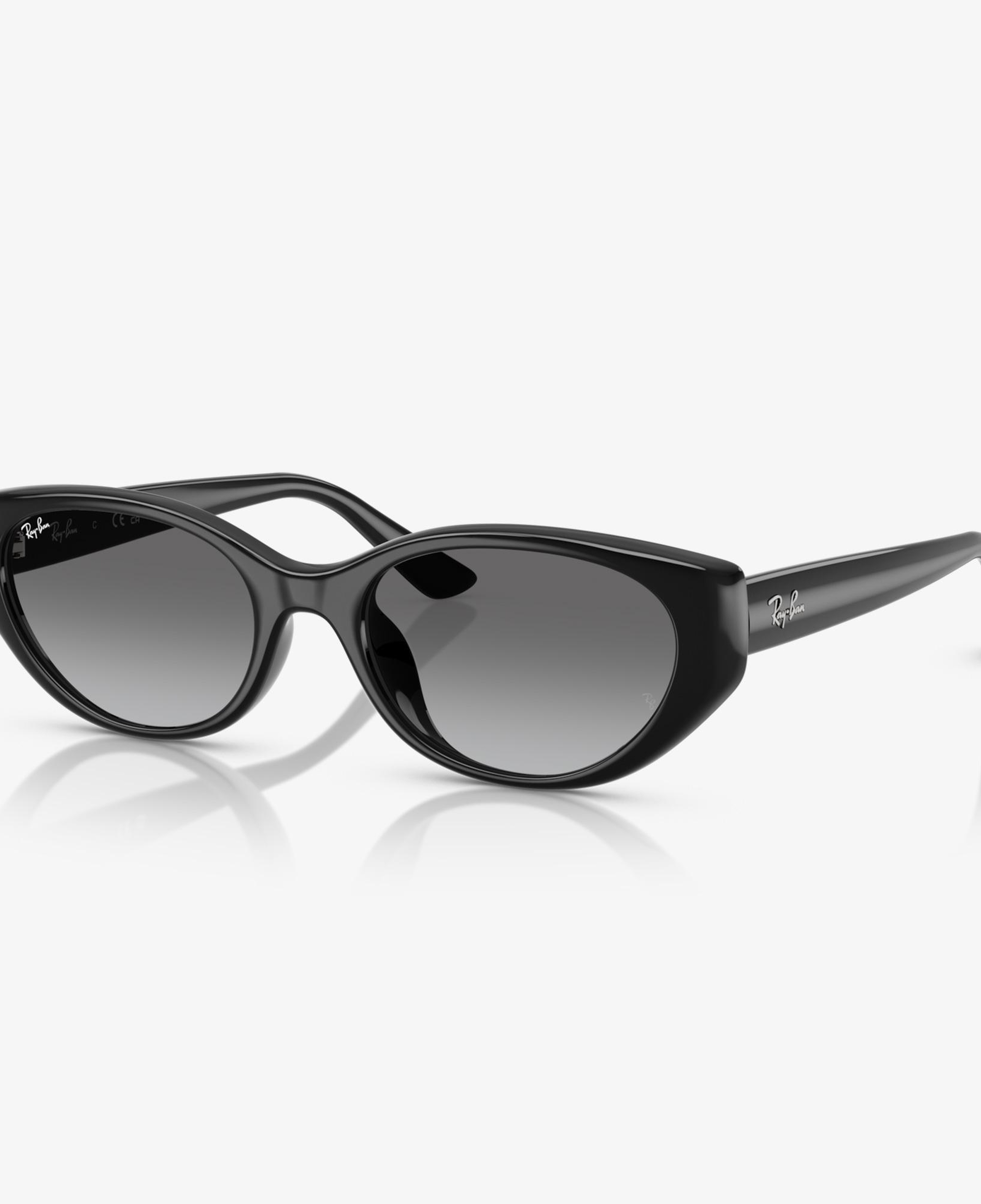 Ray-Ban RB4457D Unisex Siyah Güneş Gözlüğü