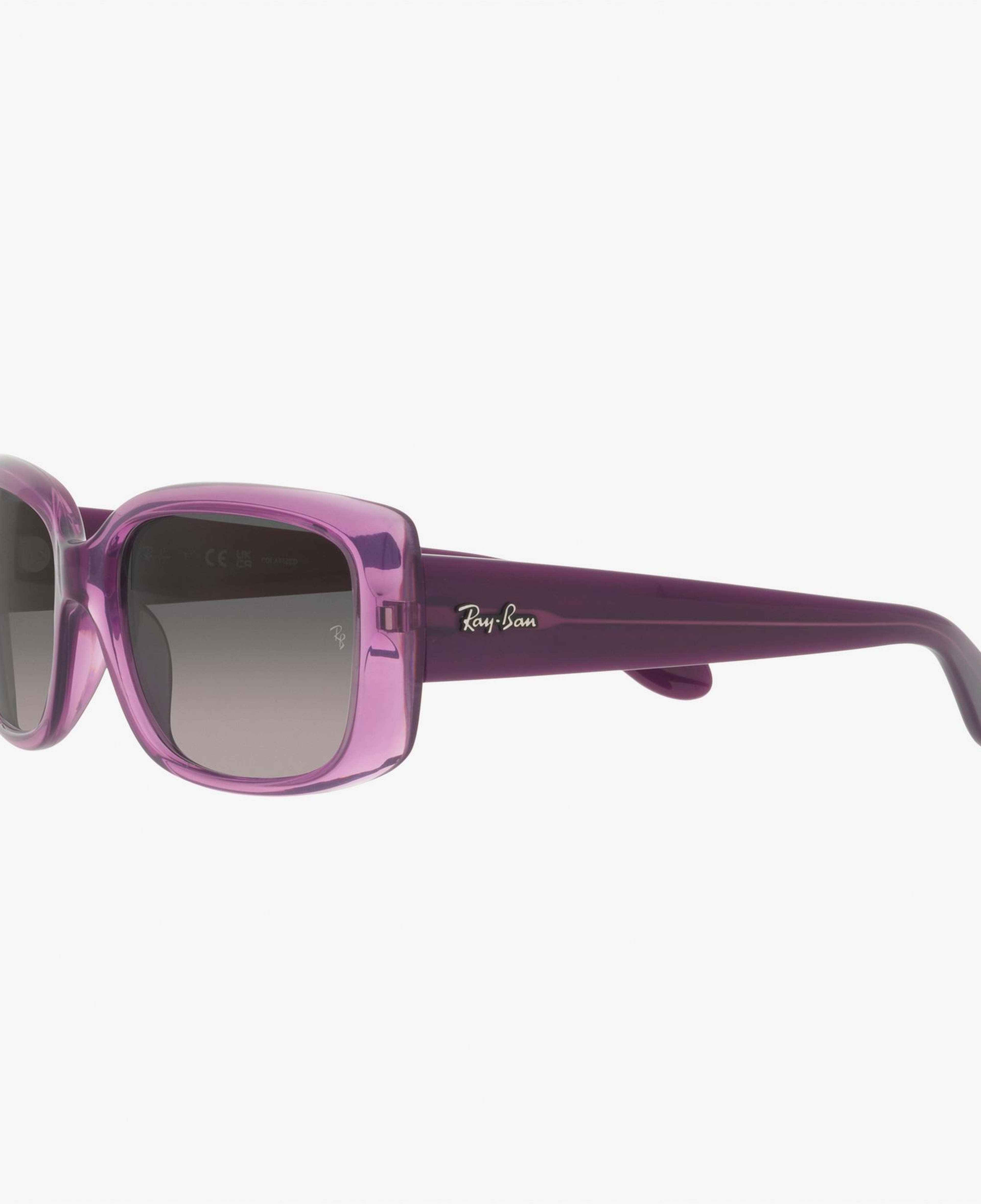 RAY-BAN 0RB4389 Kadın Mor Güneş Gözlüğü