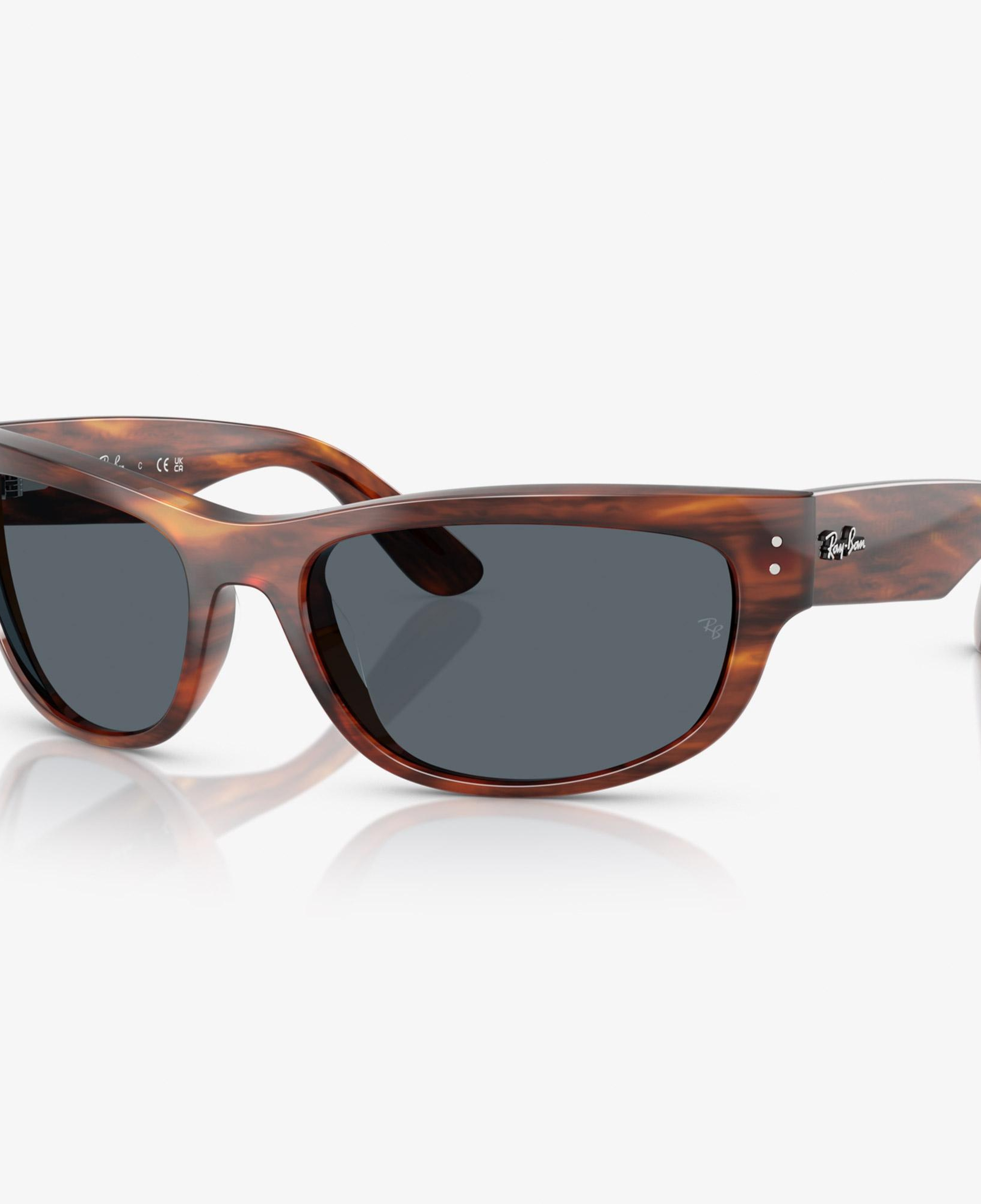 Ray-Ban Mega Balorama RB2289 Unisex Kahverengi Güneş Gözlüğü