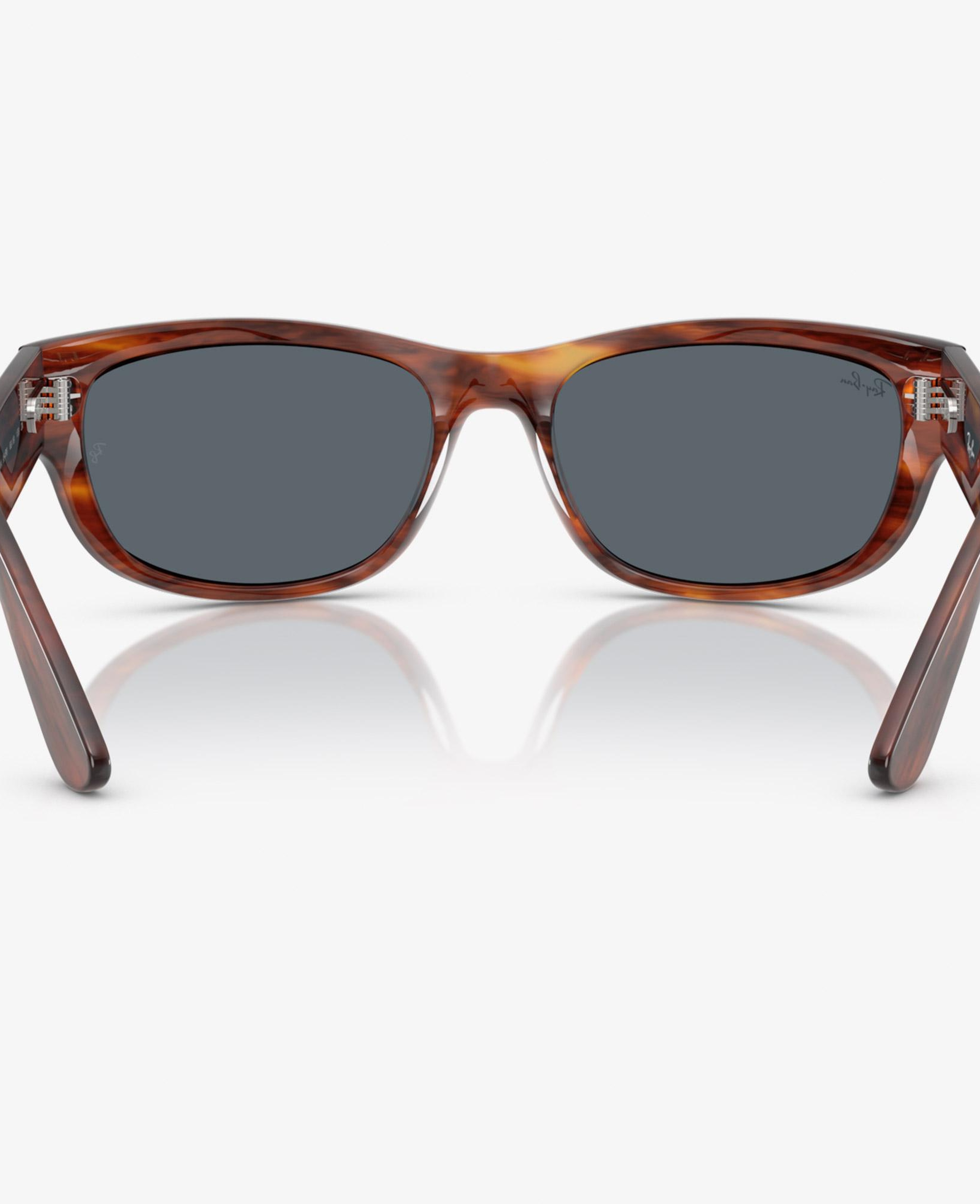 Ray-Ban Mega Balorama RB2289 Unisex Kahverengi Güneş Gözlüğü