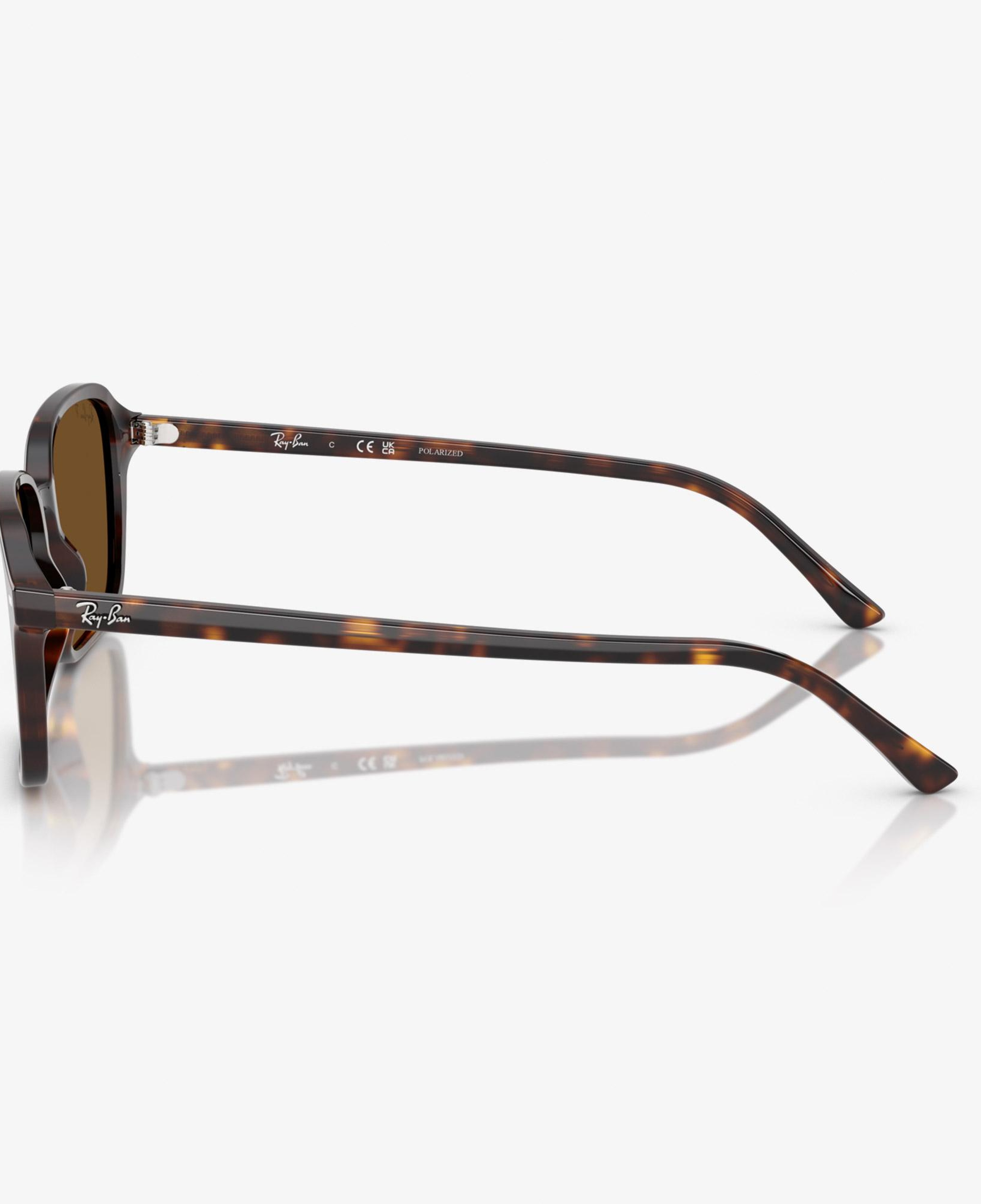 Ray-Ban Raimond RB2231 Unisex Kahverengi Güneş Gözlüğü