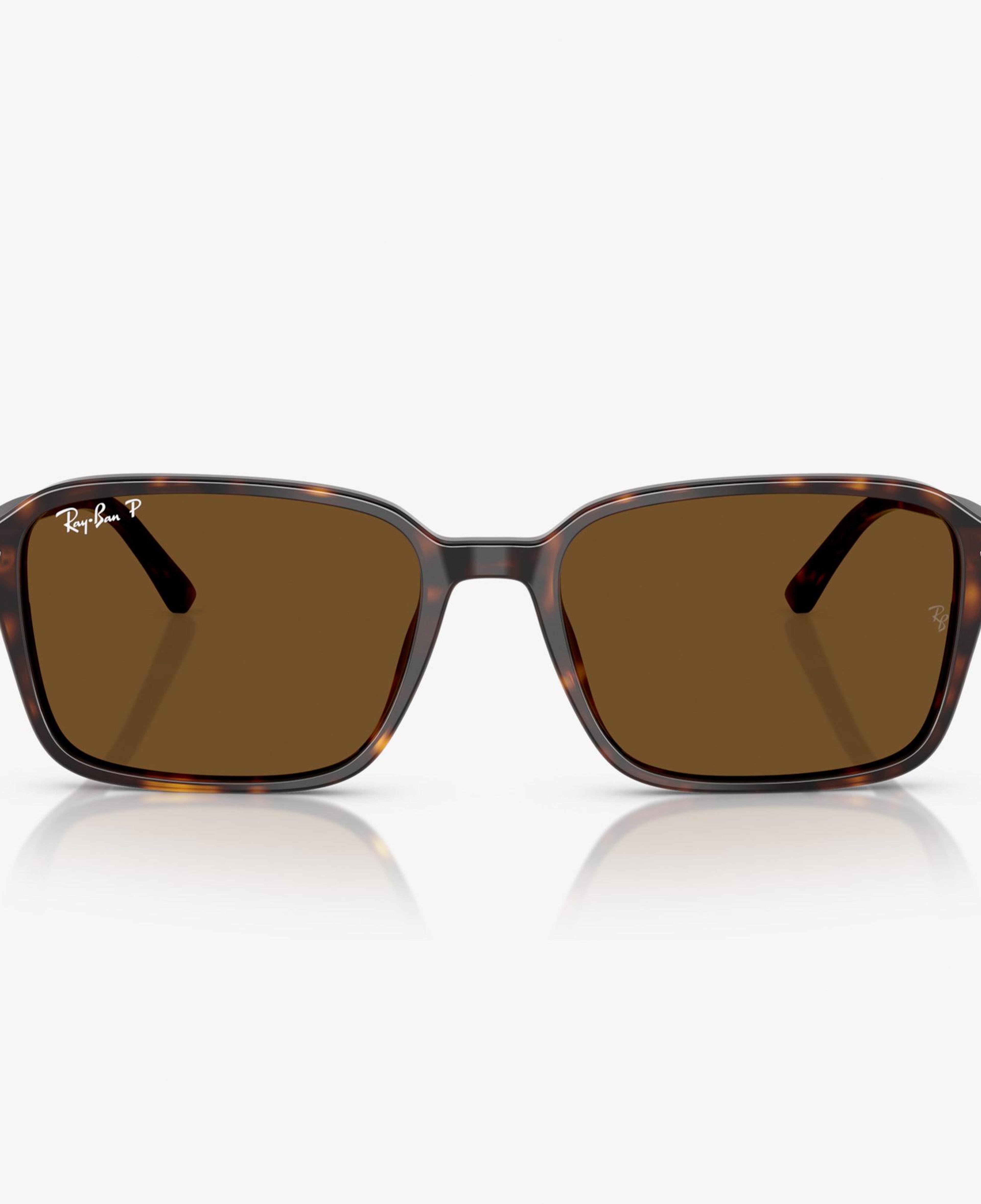 Ray-Ban Raimond RB2231 Unisex Kahverengi Güneş Gözlüğü