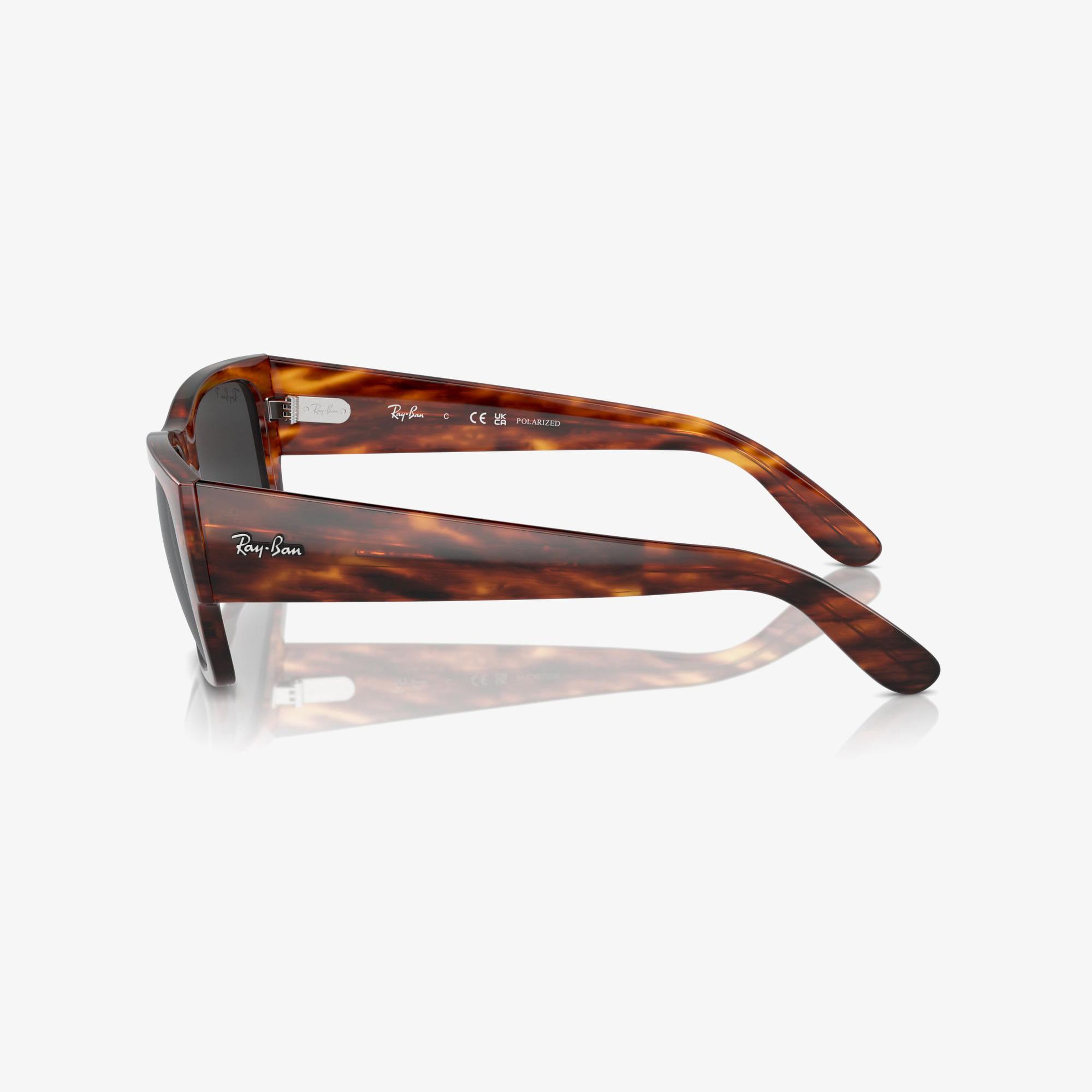 RAY-BAN Carlos Unisex Kahverengi Güneş Gözlüğü