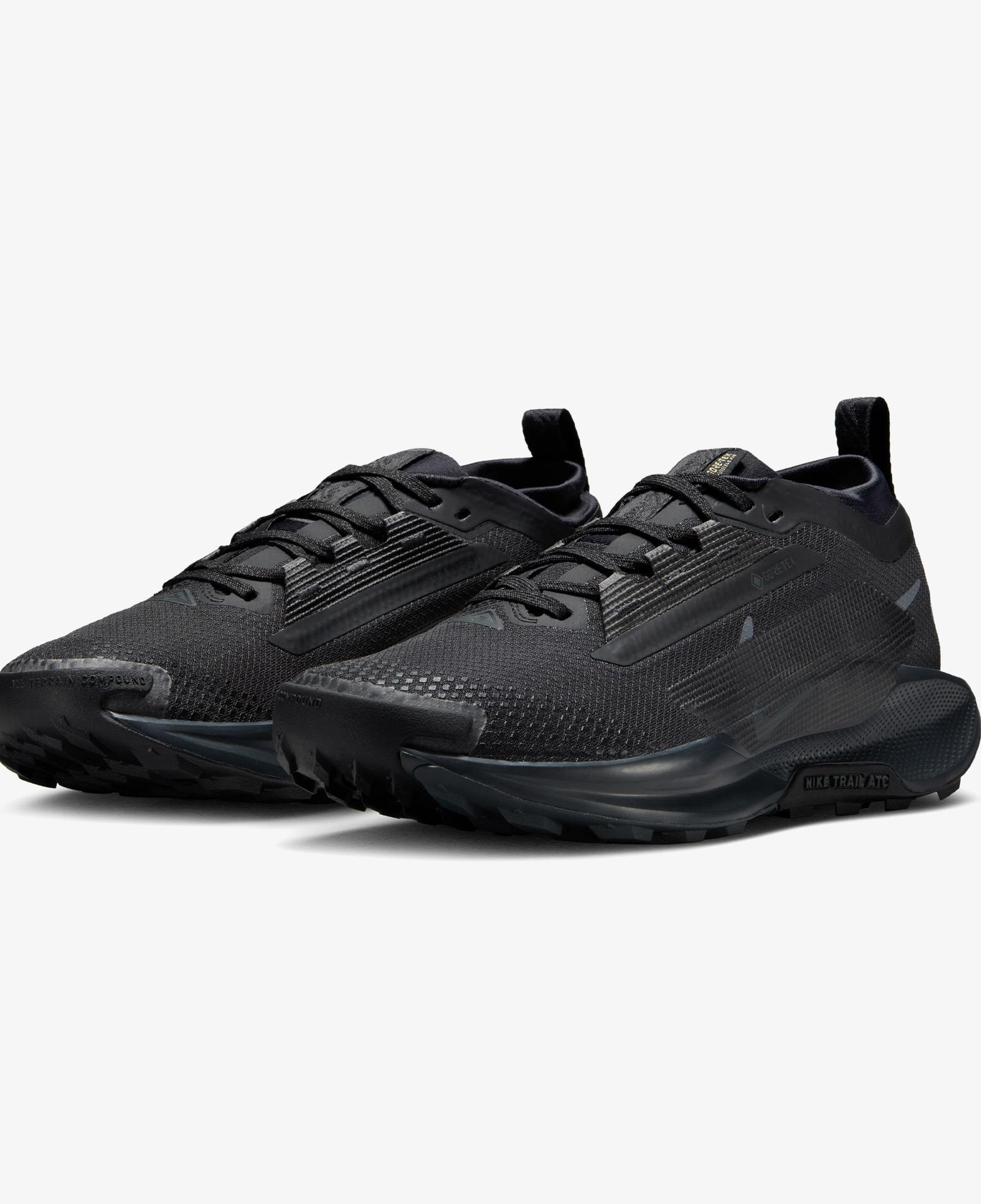 Nike Pegasus Trail 5 Gore-Tex Kadın Siyah Koşu Ayakkabısı