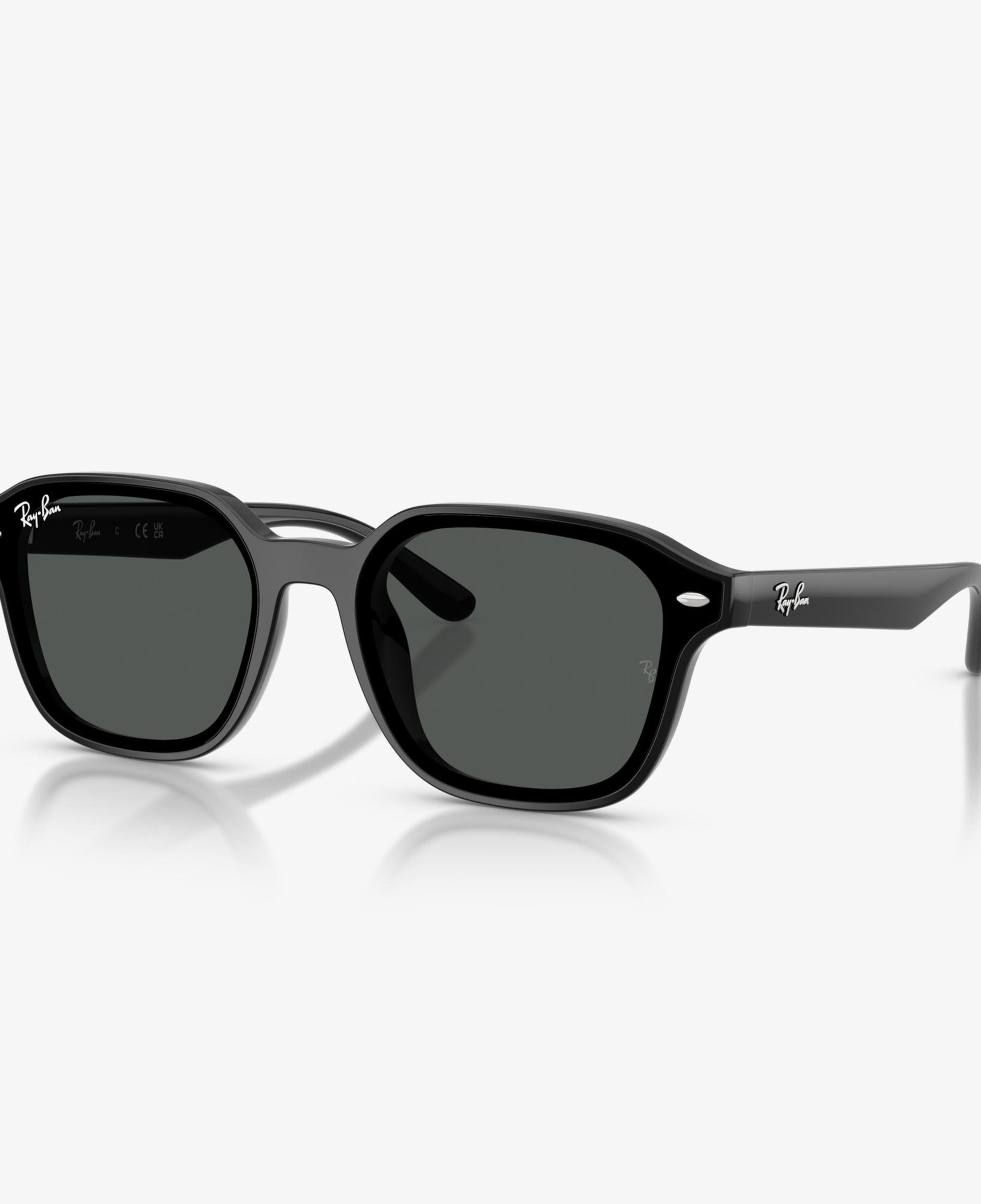 Ray-Ban RB4458D Unisex Siyah Güneş Gözlüğü