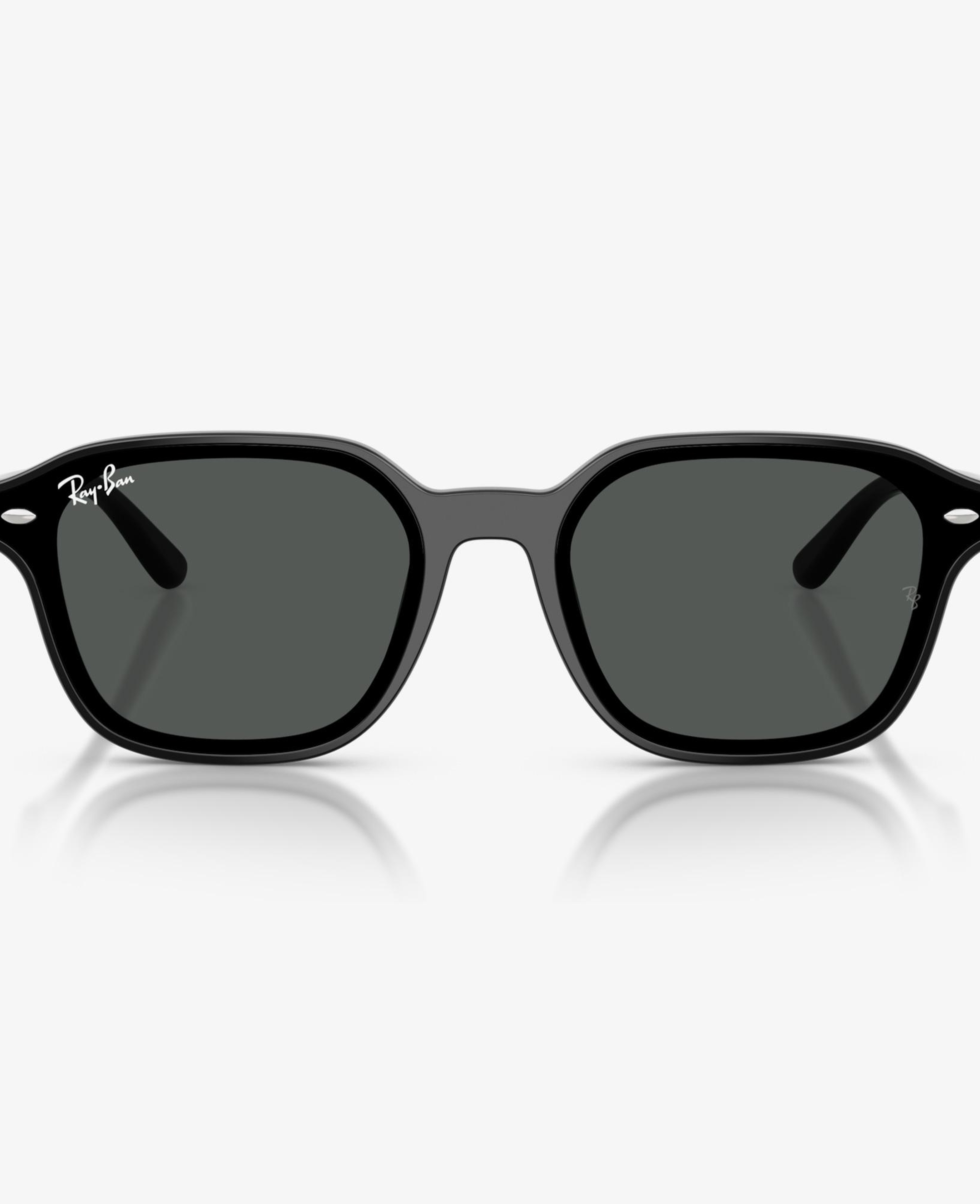 Ray-Ban RB4458D Unisex Siyah Güneş Gözlüğü