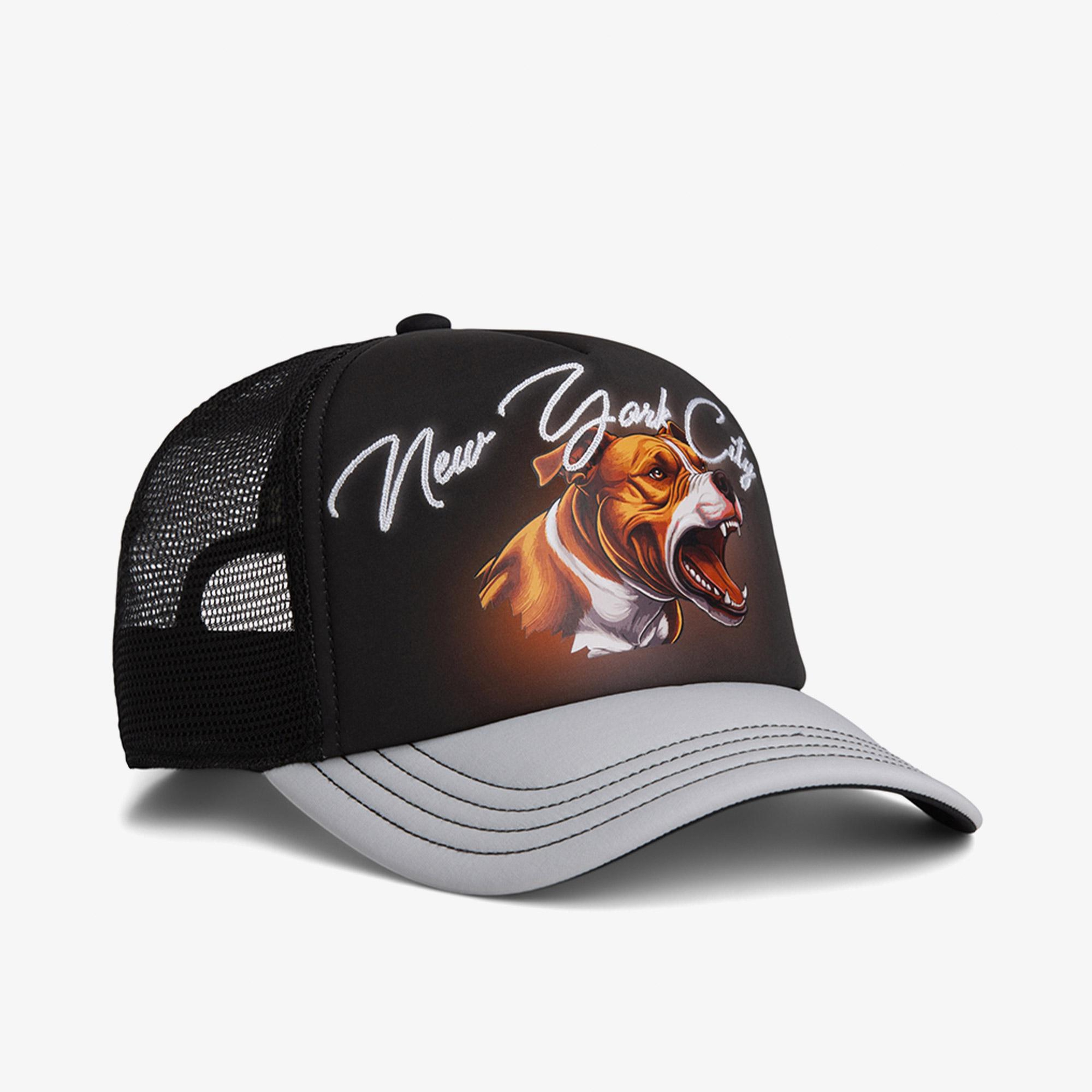 Goorin Bros Concrete Habitat - NYC Unisex Siyah Şapka