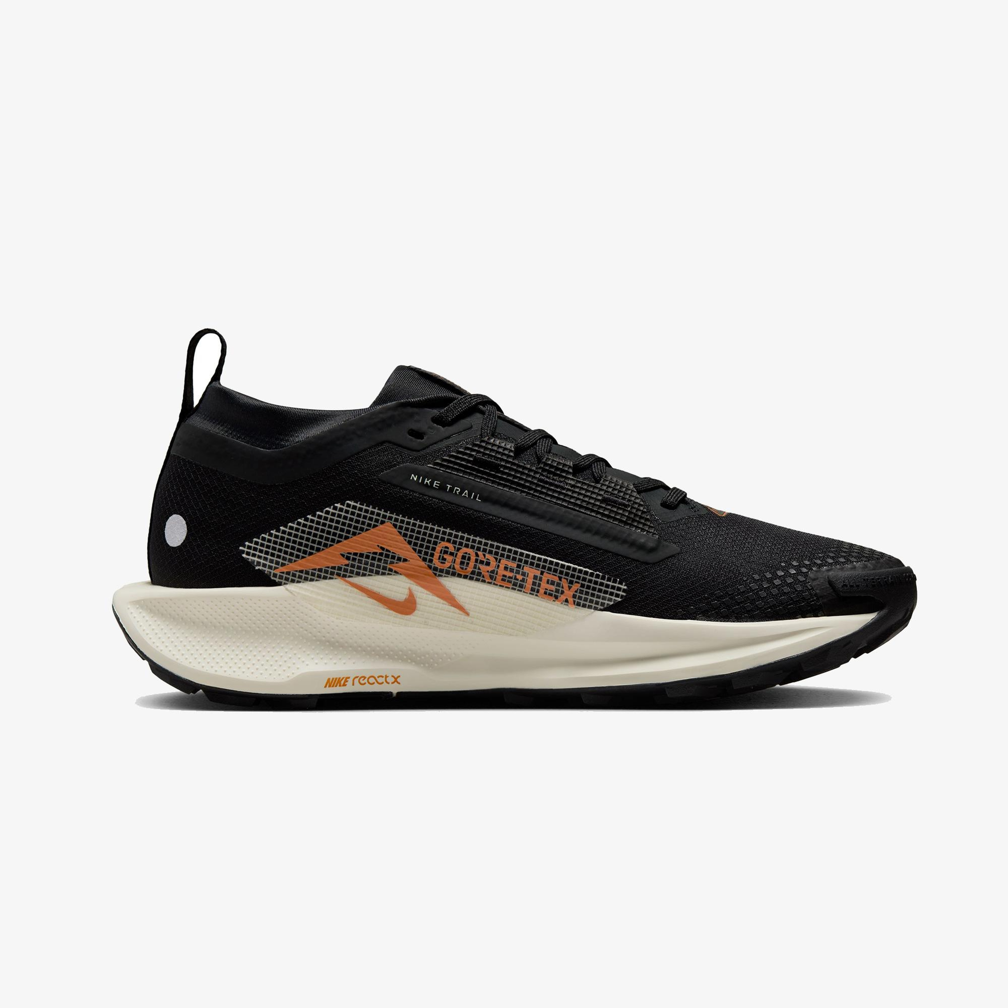 Nike Pegasus Trail 5 Gore-Tex Kadın Siyah Koşu Ayakkabısı