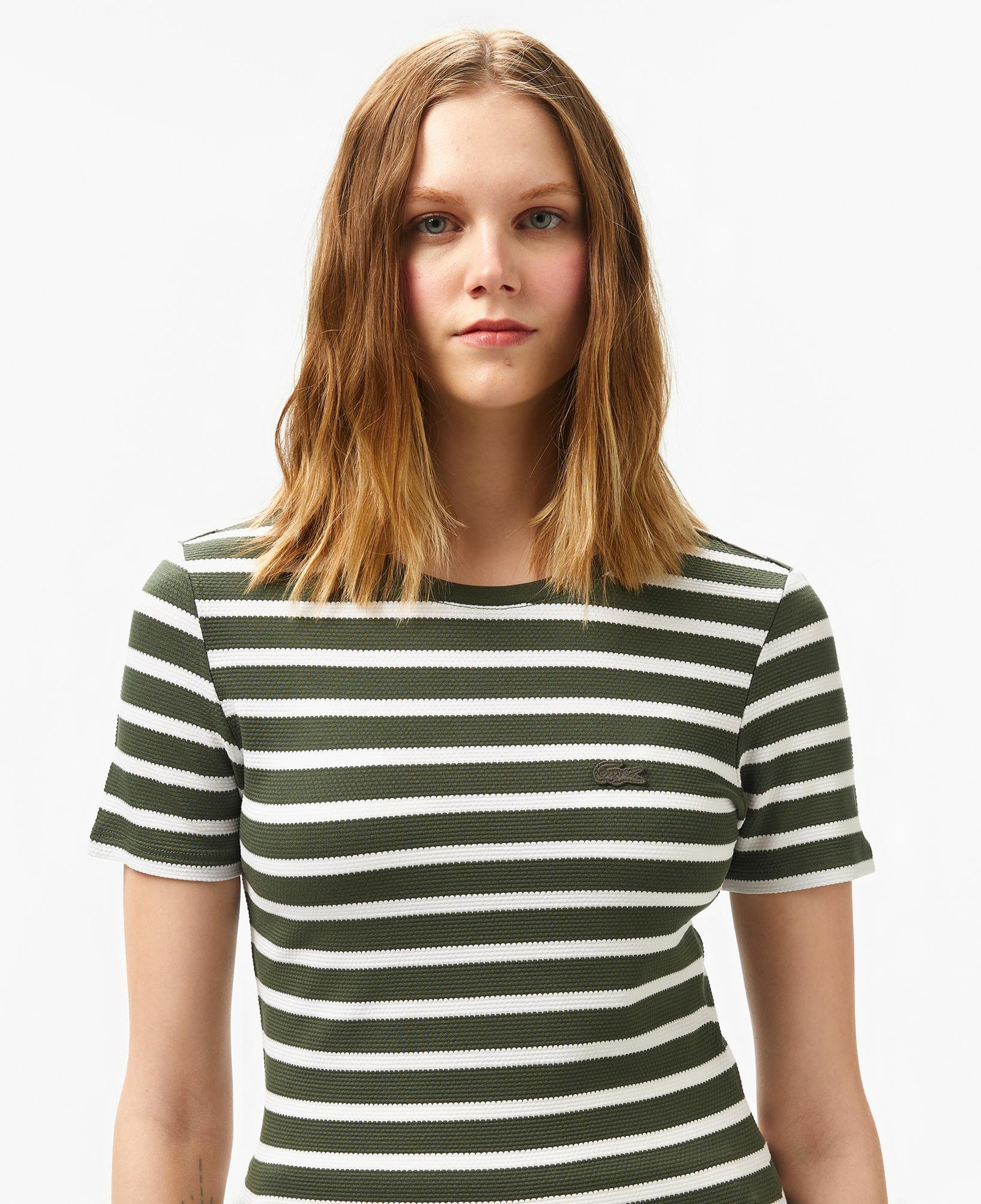 Lacoste Kadın Slim Fit Bisiklet Yaka Çizgili Koyu Yeşil T-Shirt