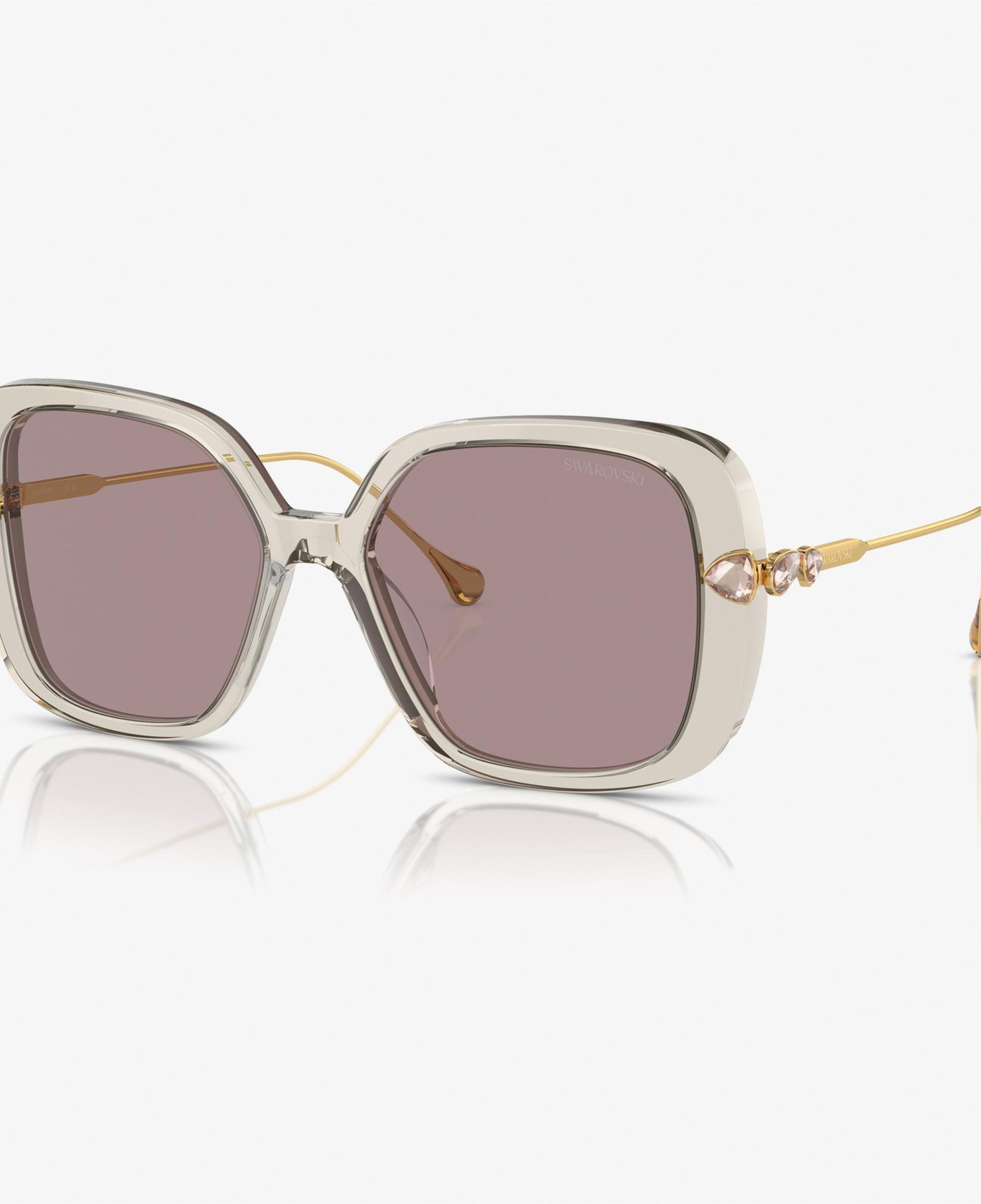 Swarovski 0SK6011 Acetate Kadın Kahverengi Güneş Gözlüğü