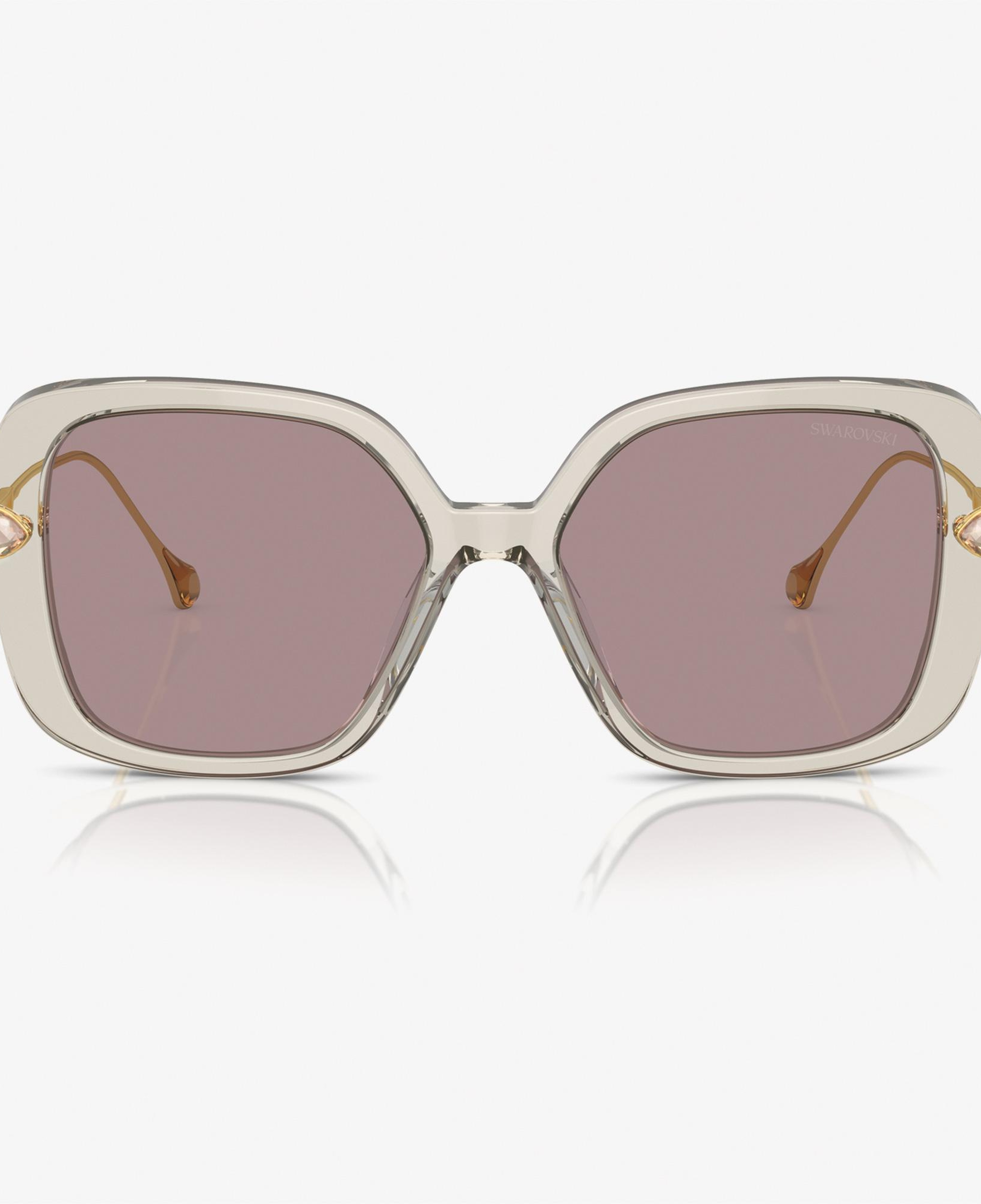 Swarovski 0SK6011 Acetate Kadın Kahverengi Güneş Gözlüğü