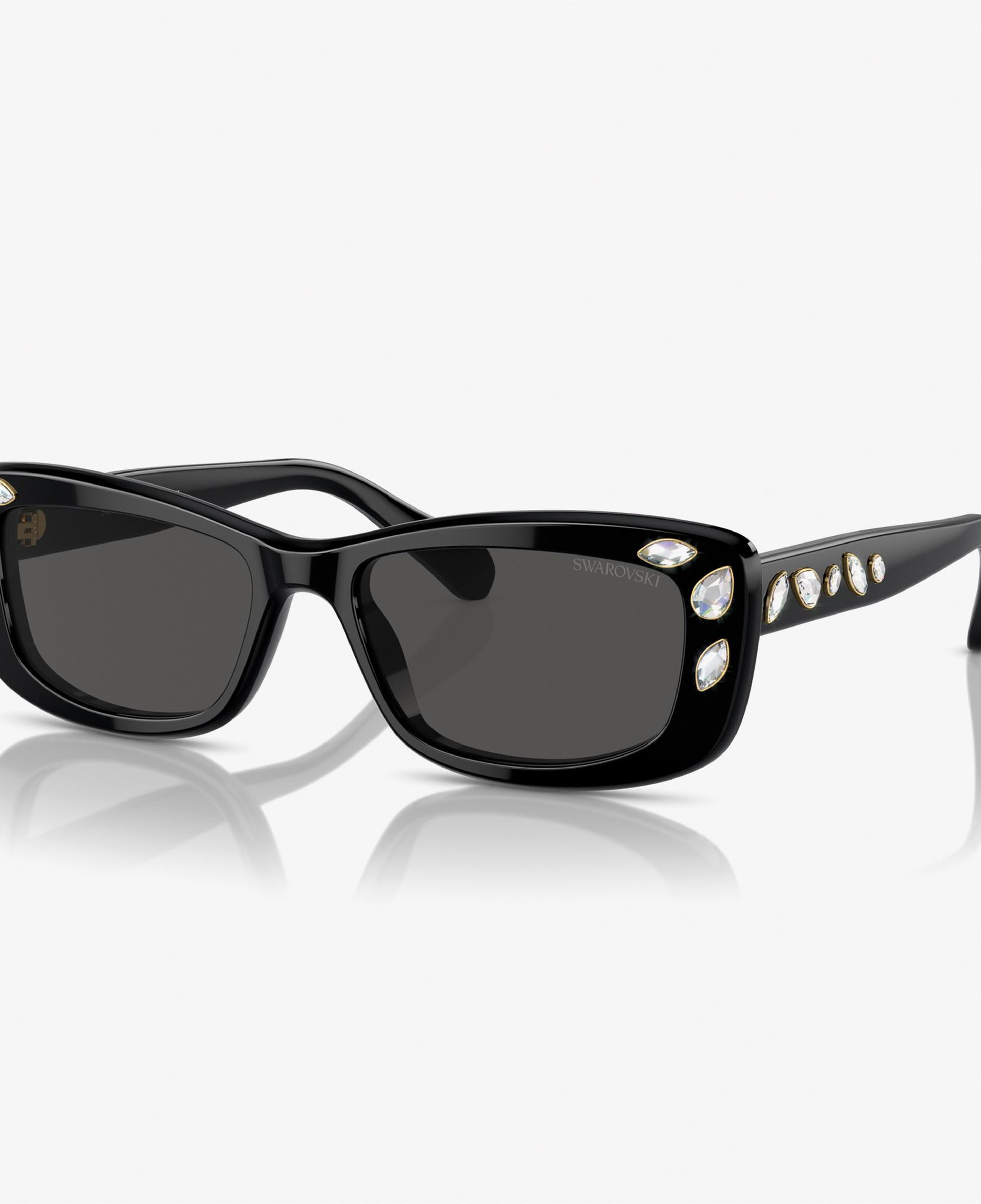 Swarovski 0SK6008 Acetate Kadın Siyah Güneş Gözlüğü