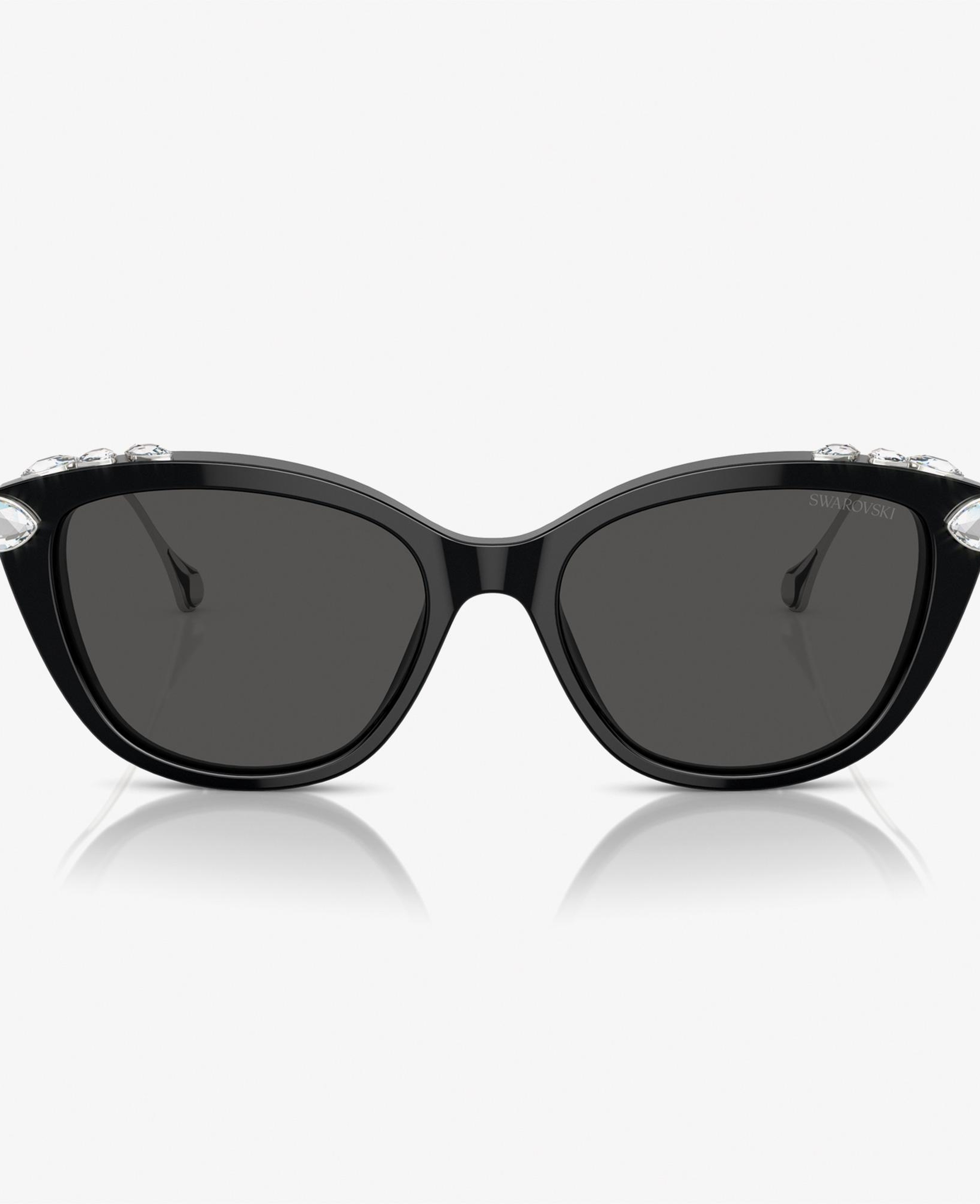 Swarovski 0SK6010 Acetate Kadın Siyah Güneş Gözlüğü