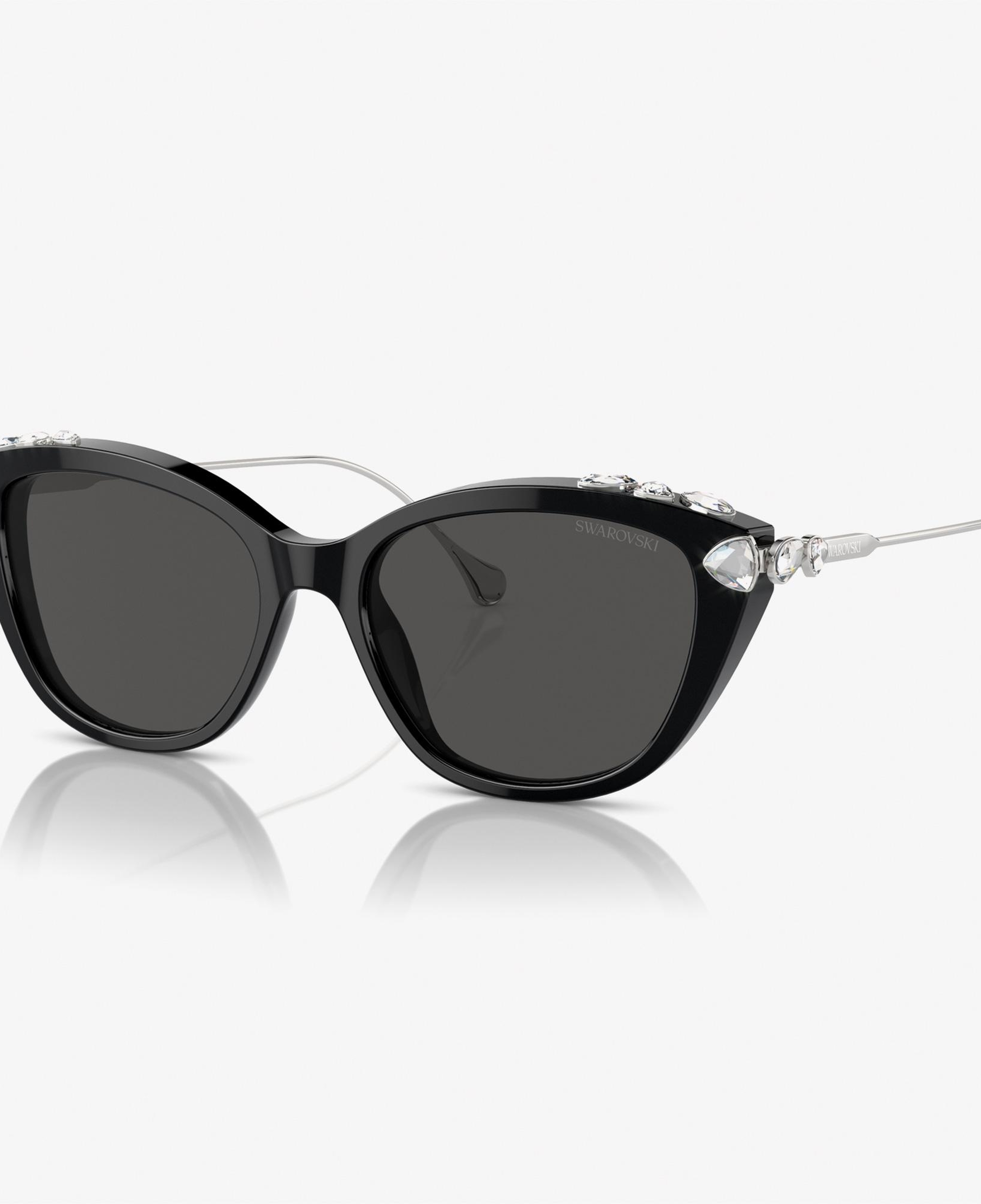 Swarovski 0SK6010 Acetate Kadın Siyah Güneş Gözlüğü