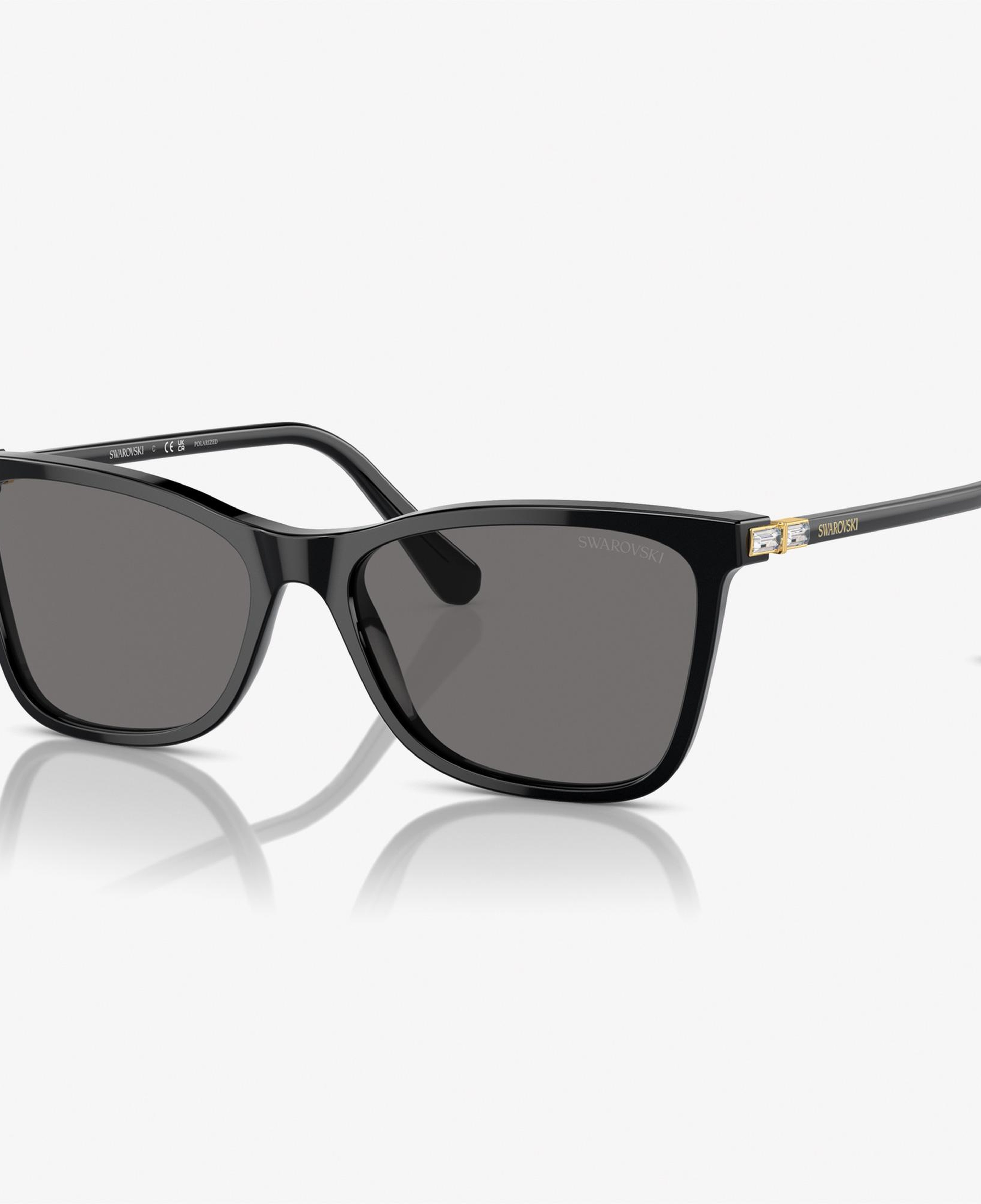 Swarovski 0SK6004 Acetate Kadın Siyah Güneş Gözlüğü