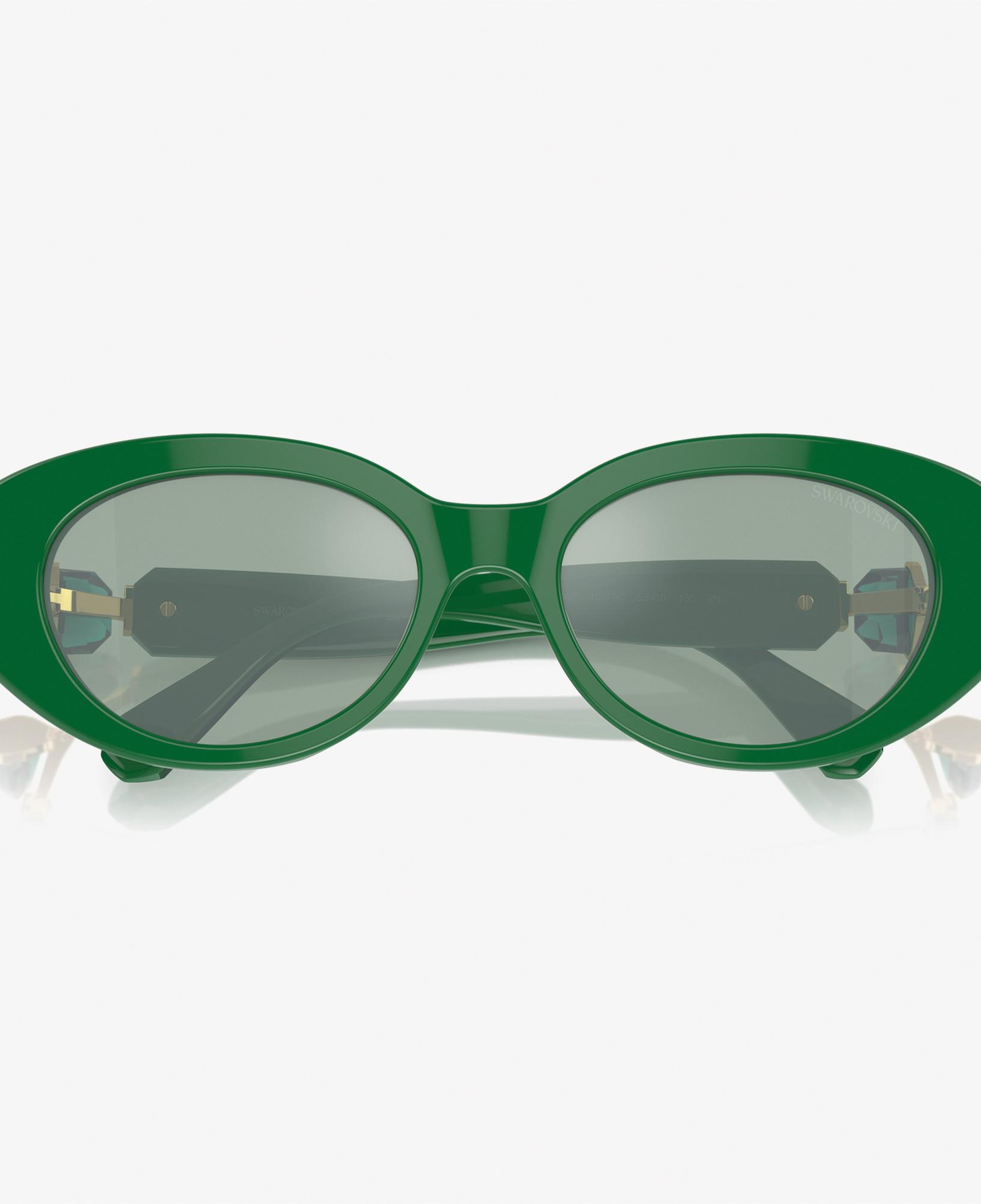 Swarovski 0SK6002 Acetate Kadın Yeşil Güneş Gözlüğü