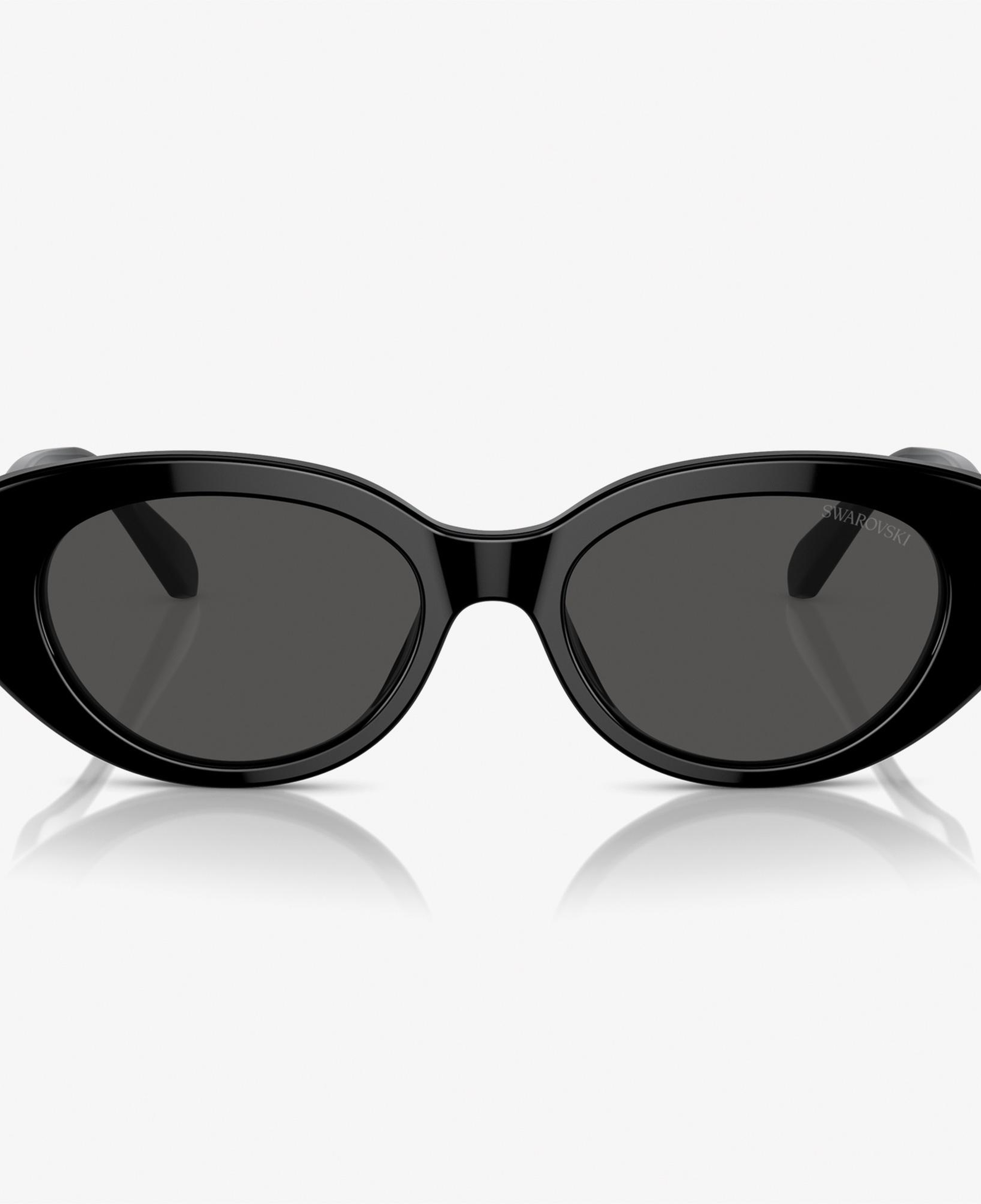 Swarovski 0SK6002 Acetate Kadın Siyah Güneş Gözlüğü