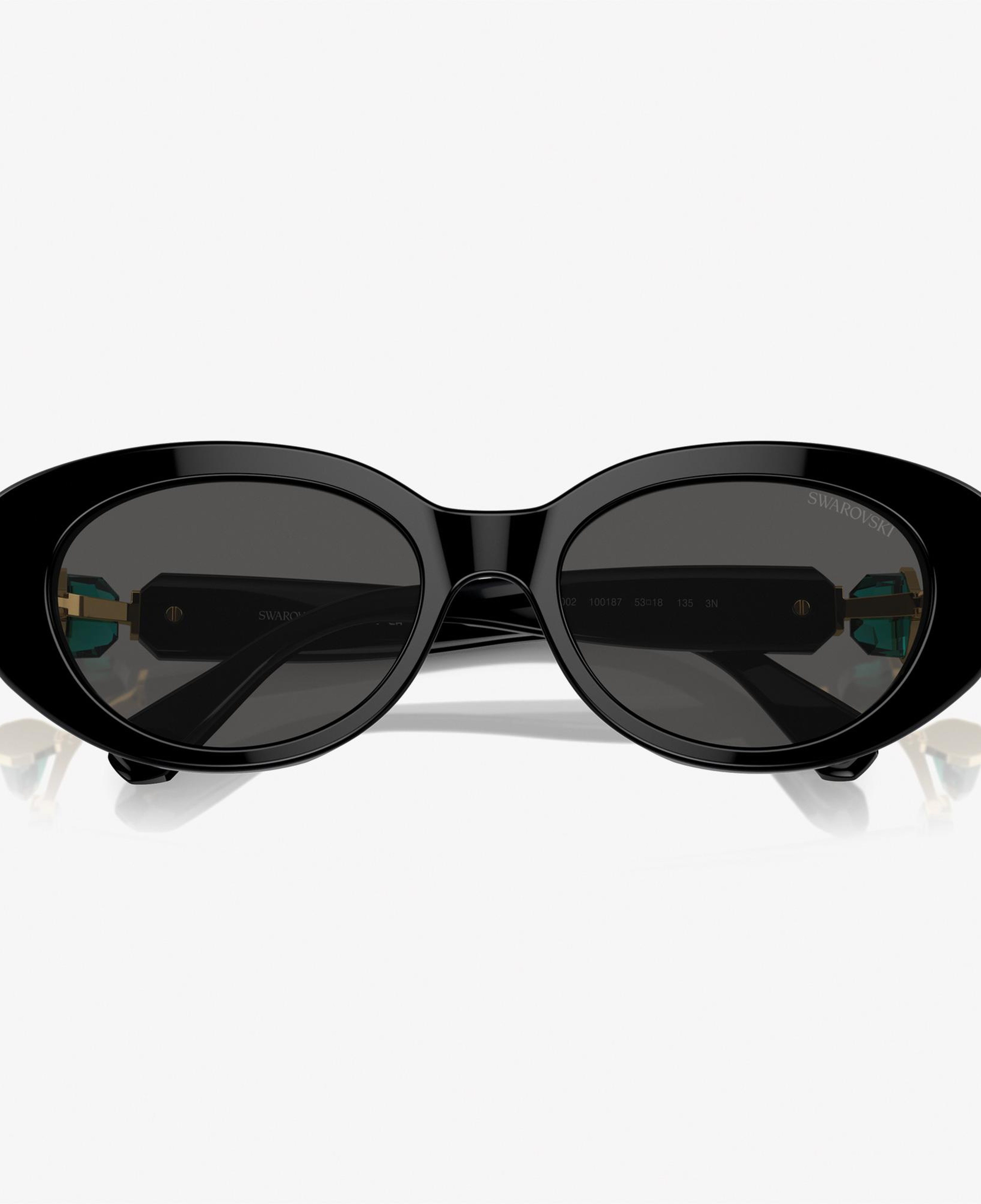 Swarovski 0SK6002 Acetate Kadın Siyah Güneş Gözlüğü