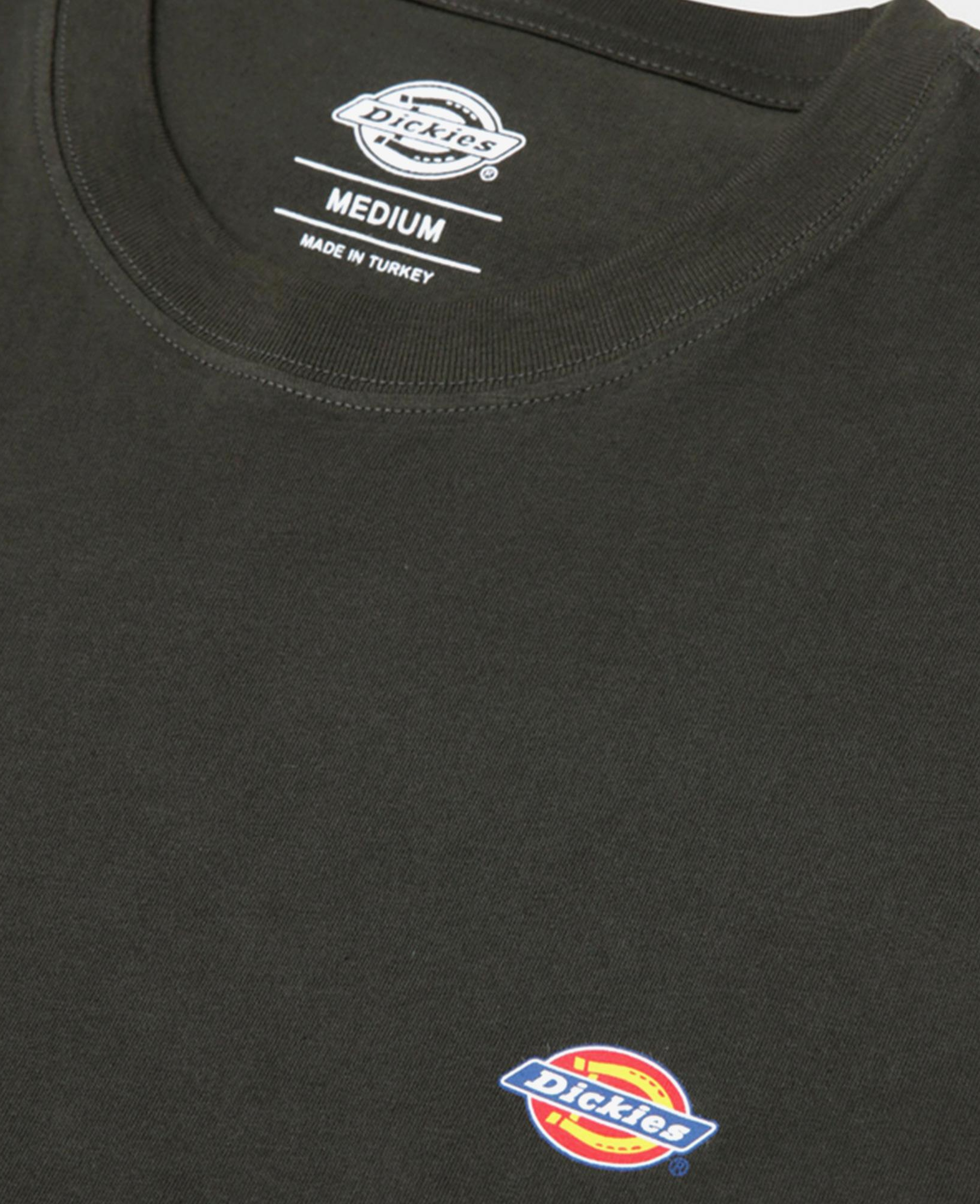 Dickies Mapleton Erkek Siyah T-Shirt