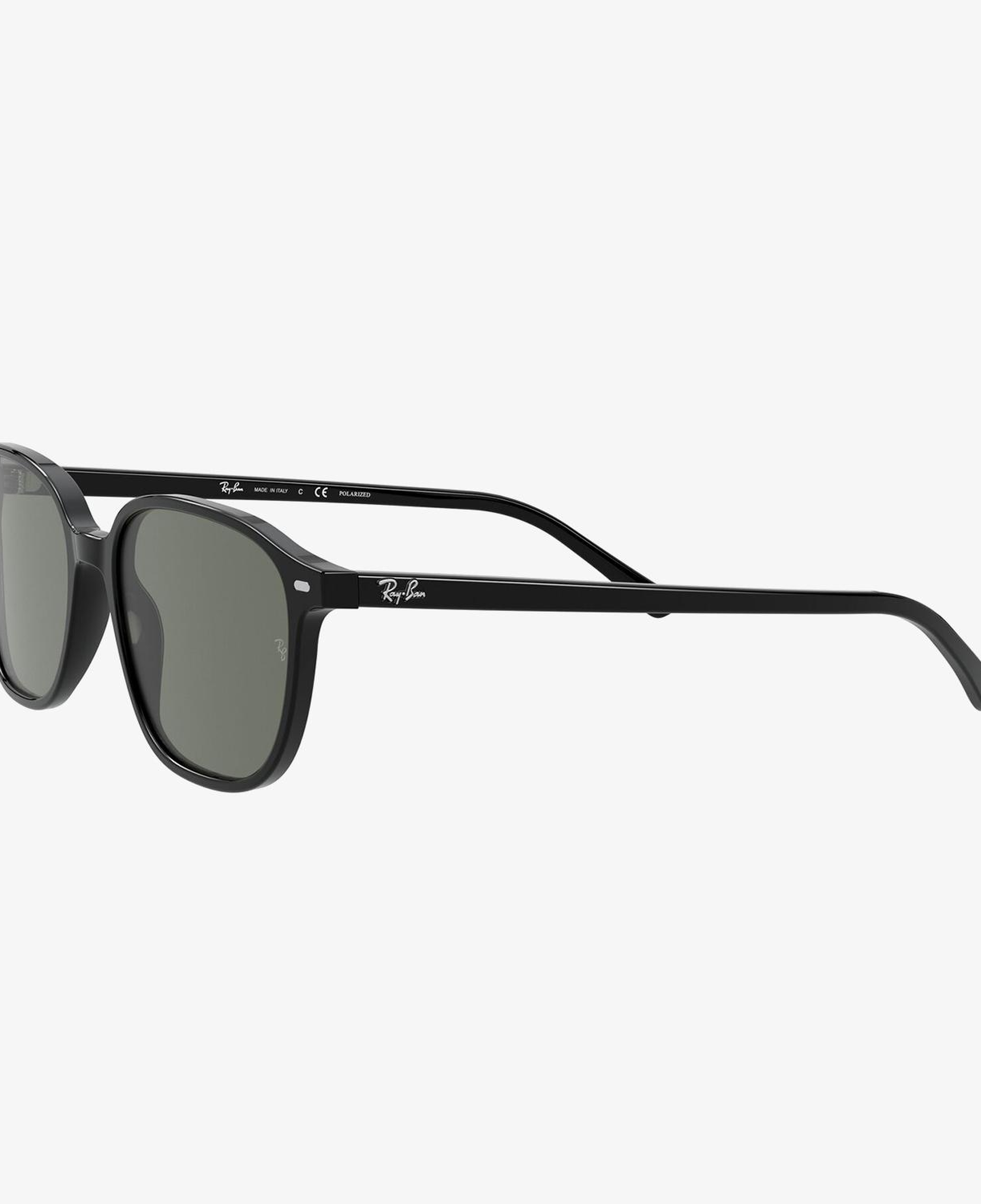 RAY-BAN 0RB2193 Leonard Unisex Siyah Güneş Gözlüğü