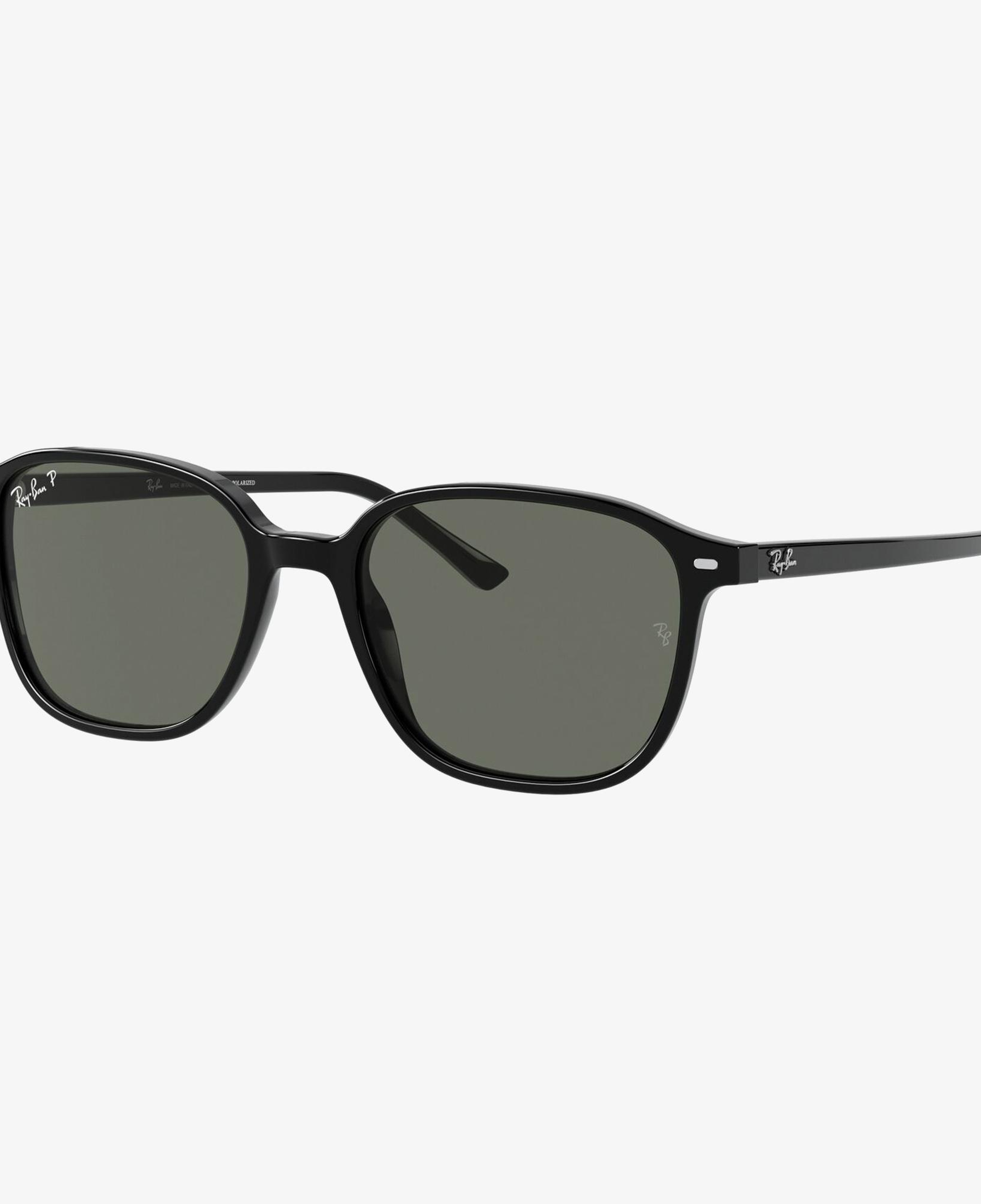 RAY-BAN 0RB2193 Leonard Unisex Siyah Güneş Gözlüğü
