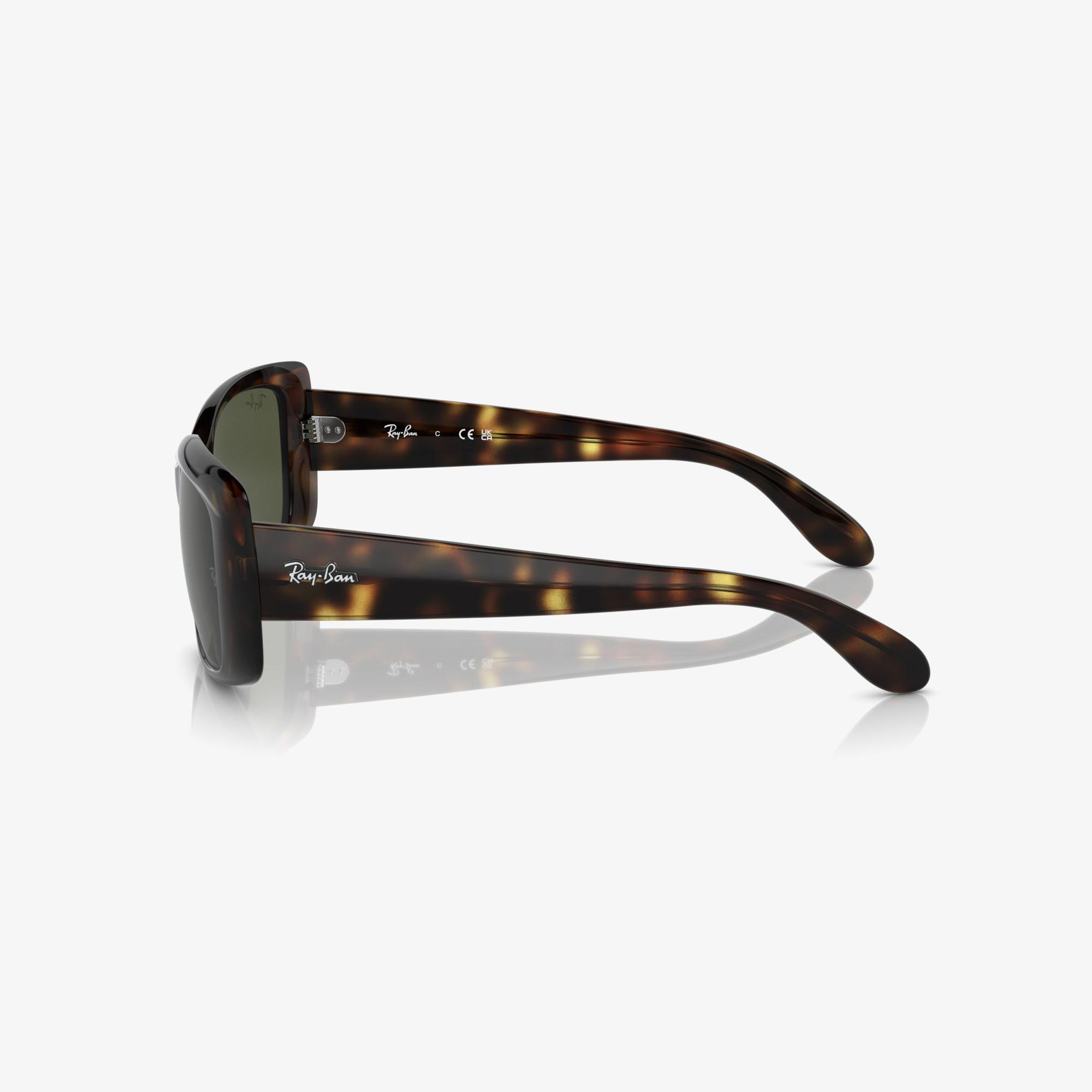 RAY-BAN 0RB4389 Kadın Kahverengi Güneş Gözlüğü