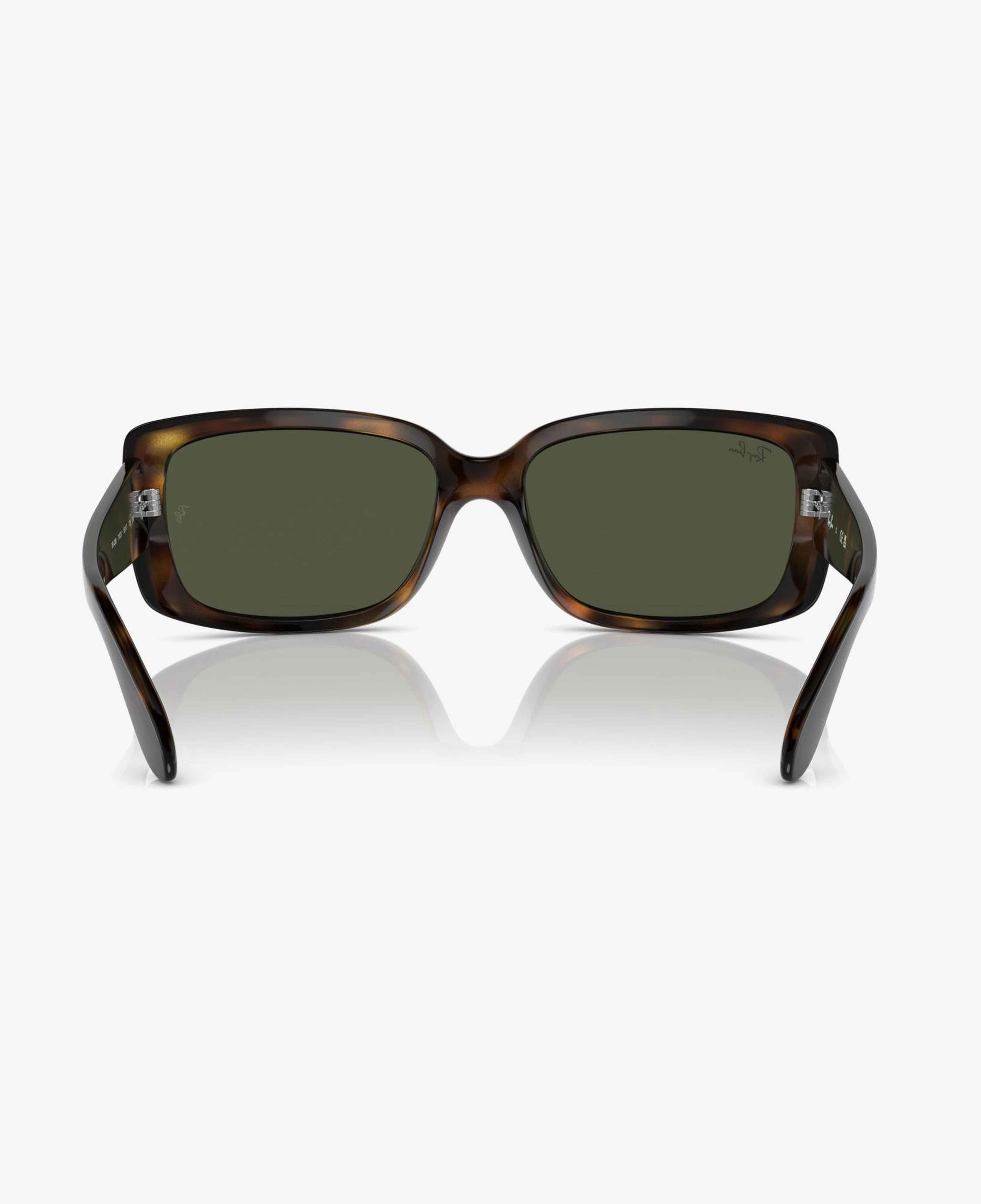 RAY-BAN 0RB4389 Kadın Kahverengi Güneş Gözlüğü