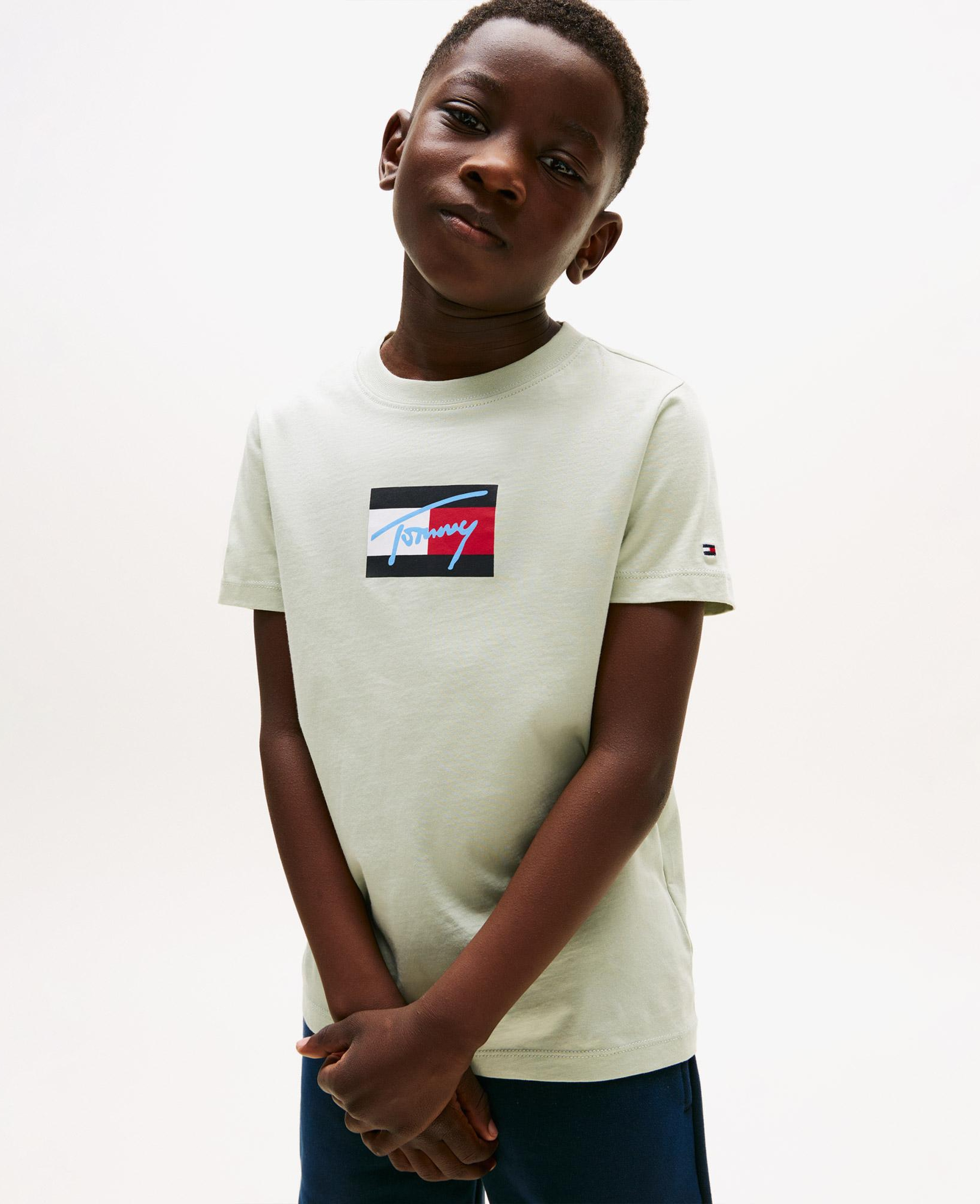 Tommy Hilfiger Script Flag Print Çocuk Yeşil T-Shirt