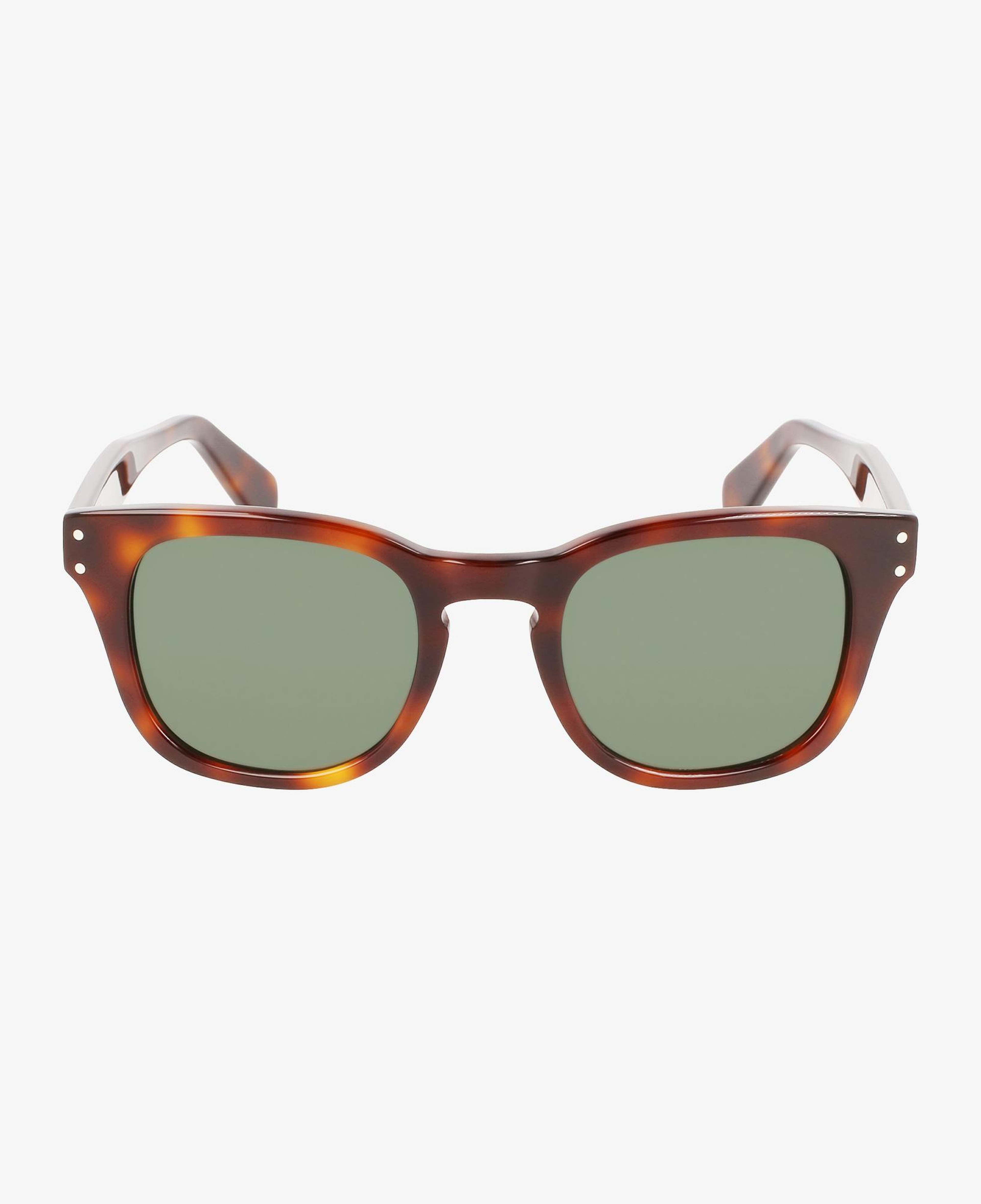 Salvatore Ferragamo Erkek Kahverengi Güneş Gözlüğü