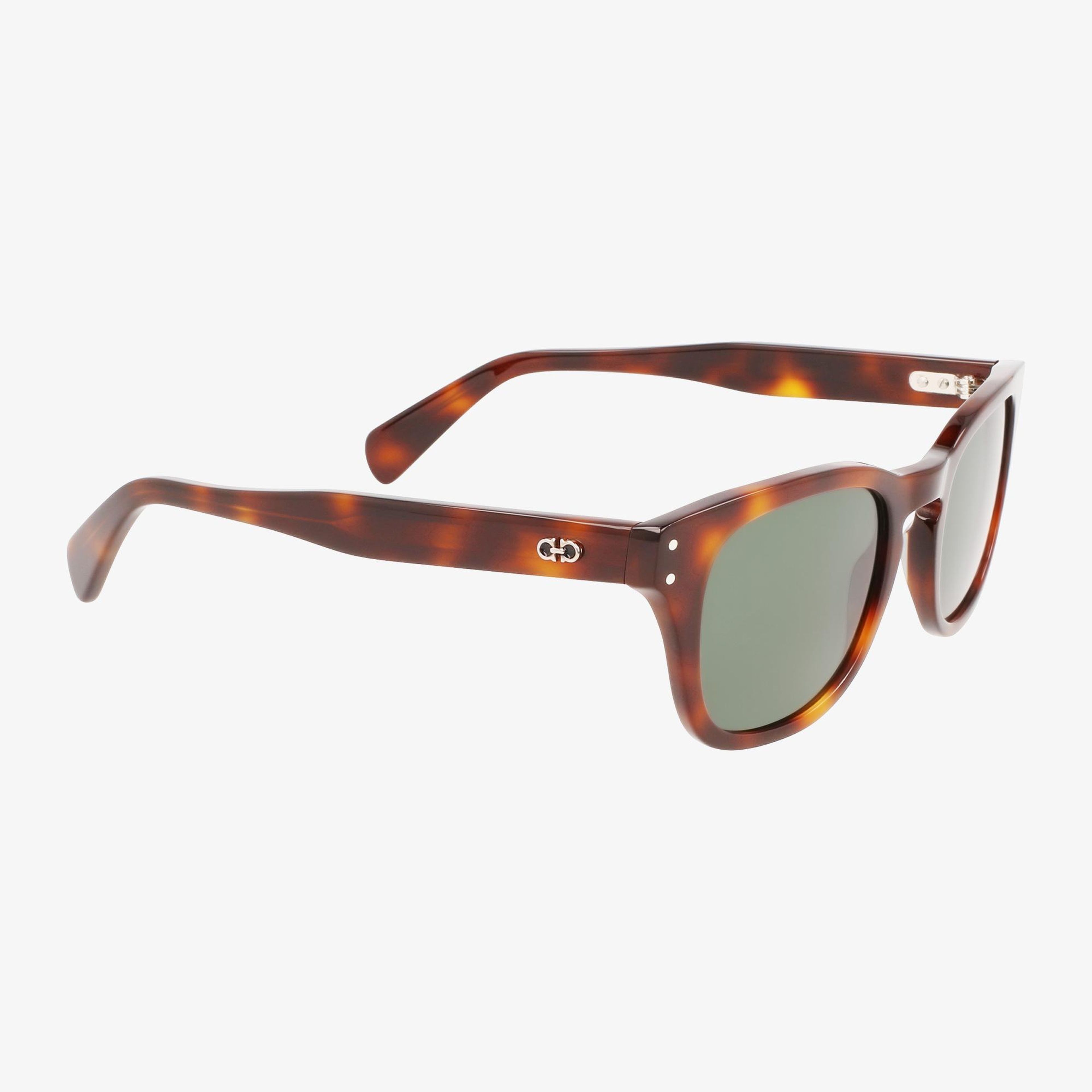 Salvatore Ferragamo Erkek Kahverengi Güneş Gözlüğü