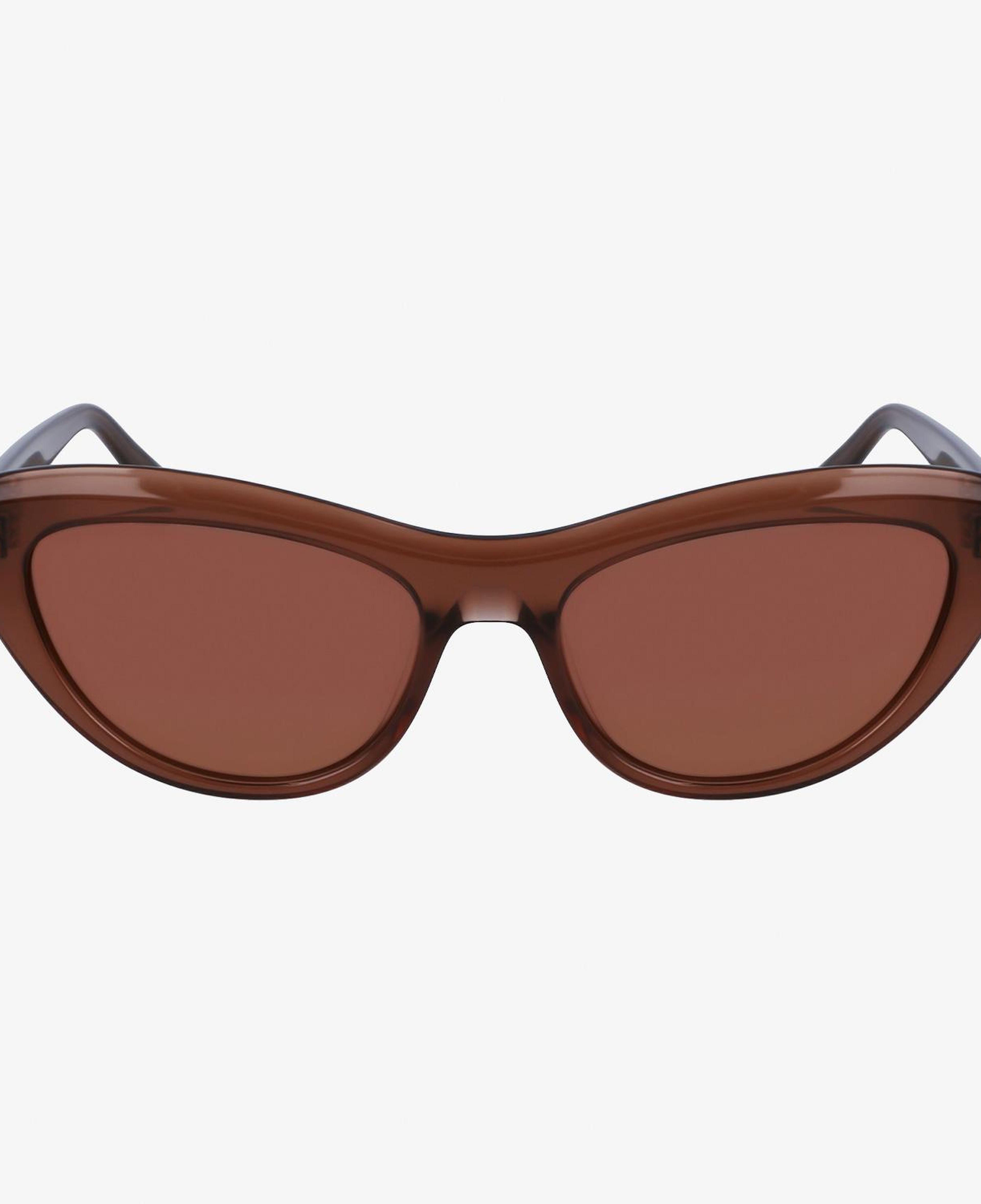 Salvatore Ferragamo Kadın Kahverengi Gözlük