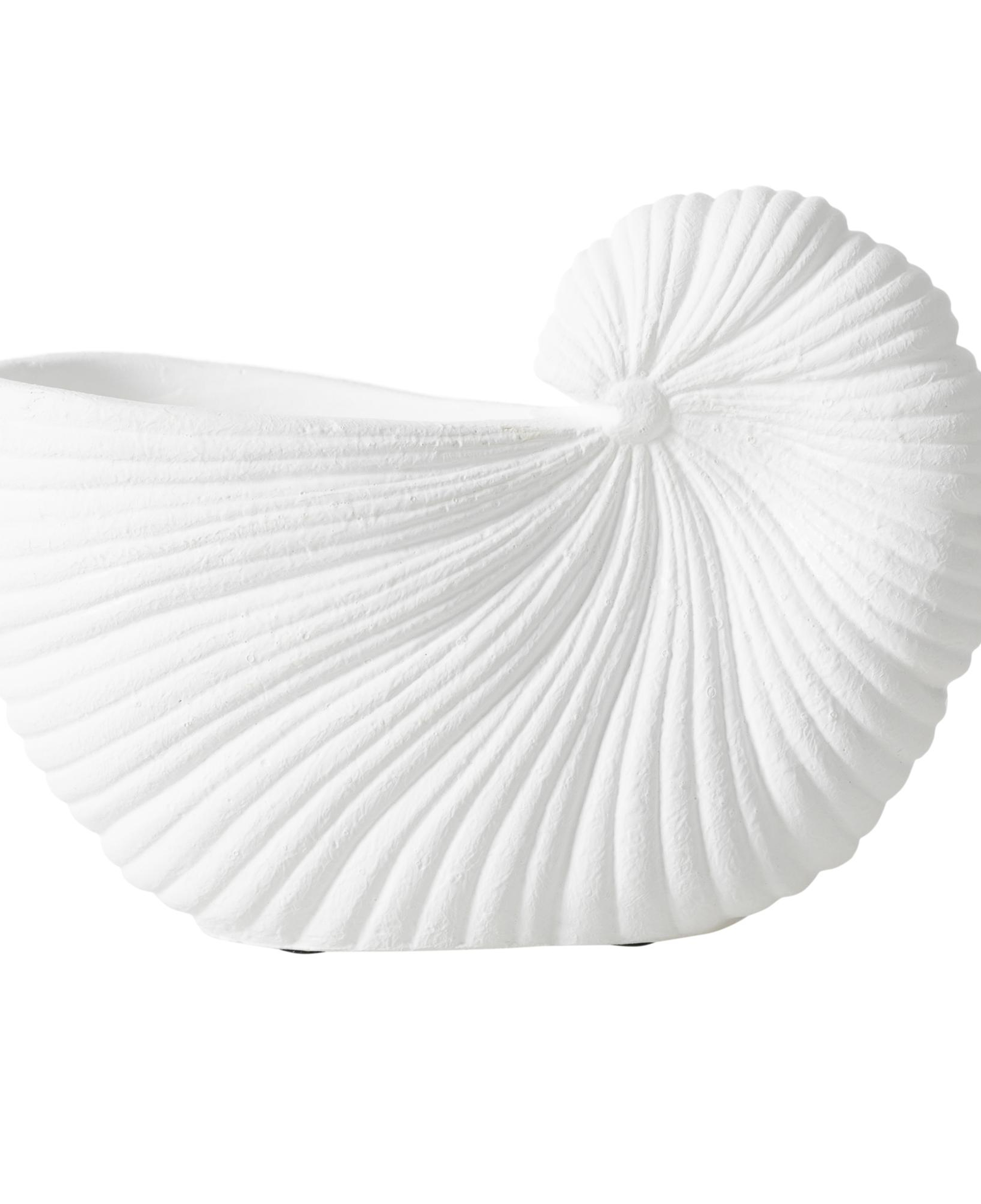 WHITE SHELL VAZO 21X10X15 CM