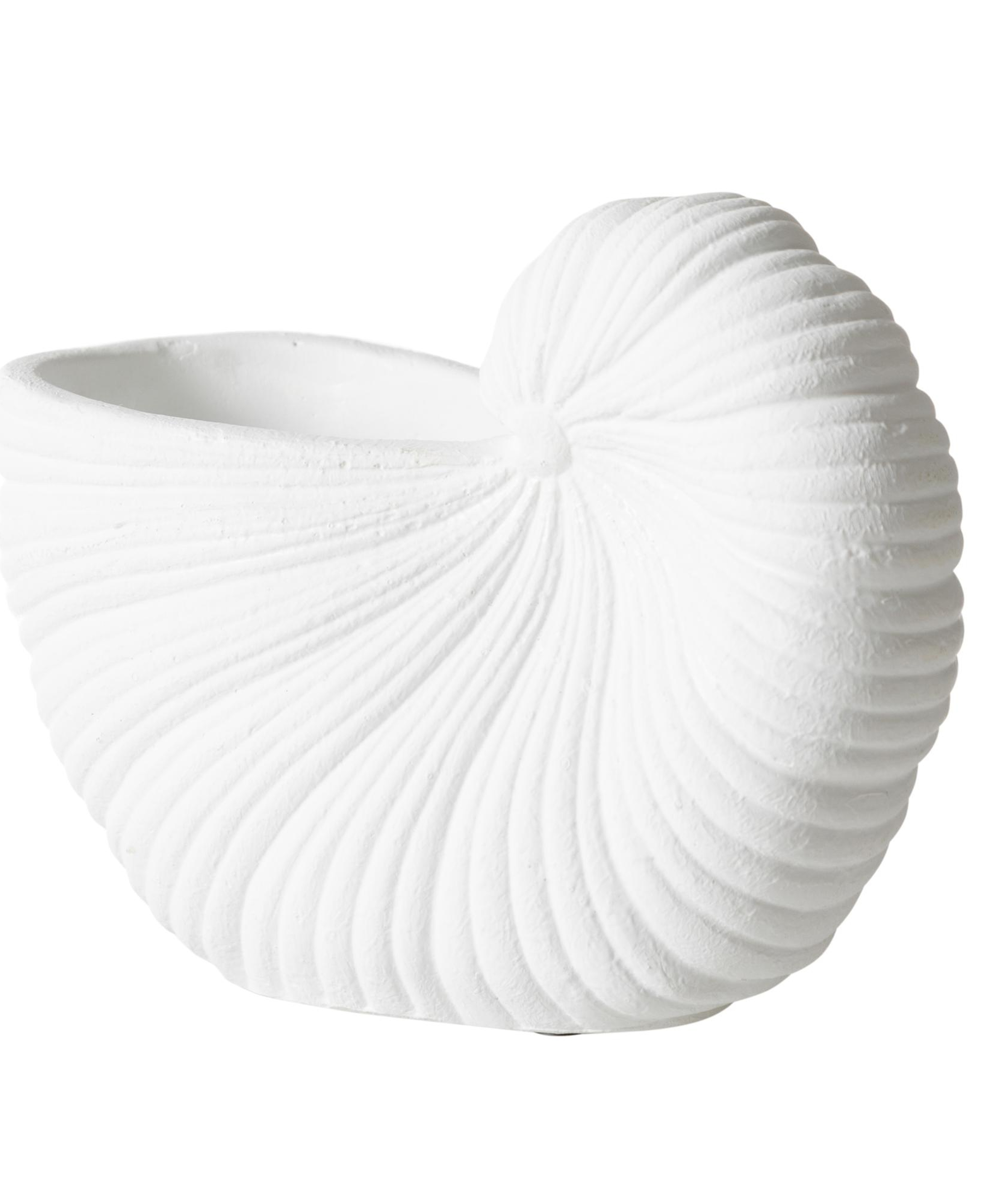 WHITE SHELL VAZO 21X10X15 CM