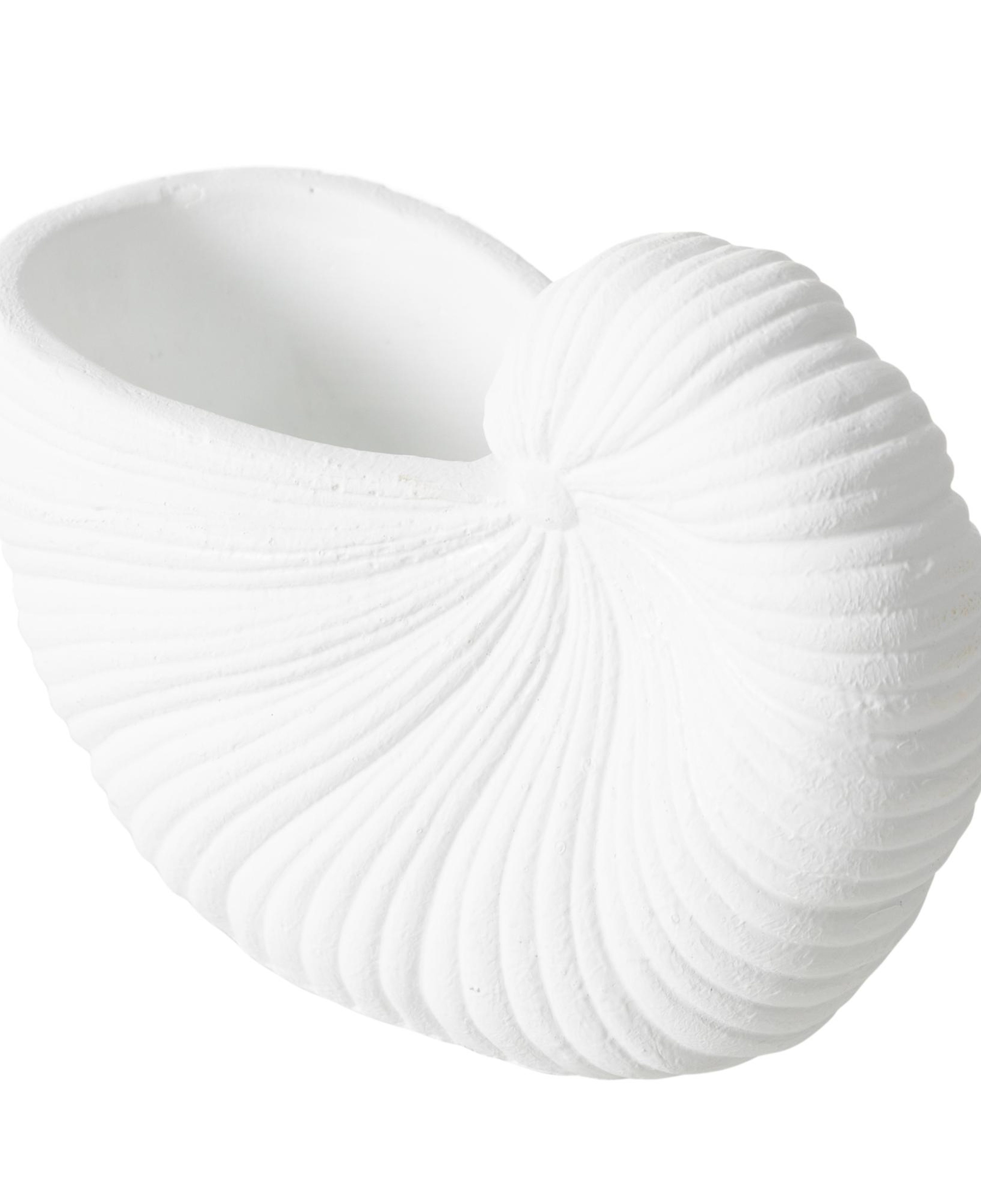 WHITE SHELL VAZO 21X10X15 CM