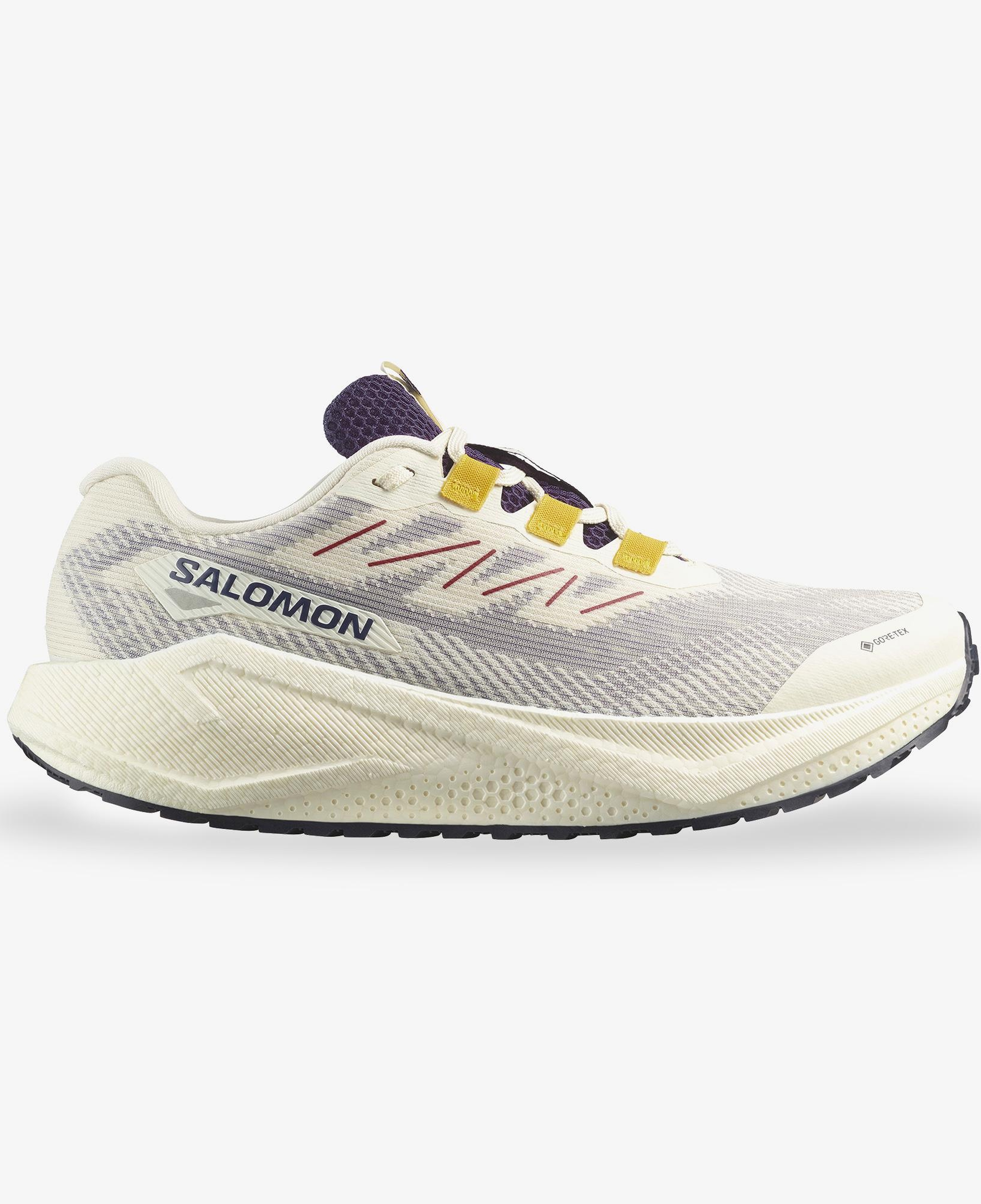 Salomon Aero Blaze 3 Grvl Gore Tex Erkek Beyaz Koşu Ayakkabısı