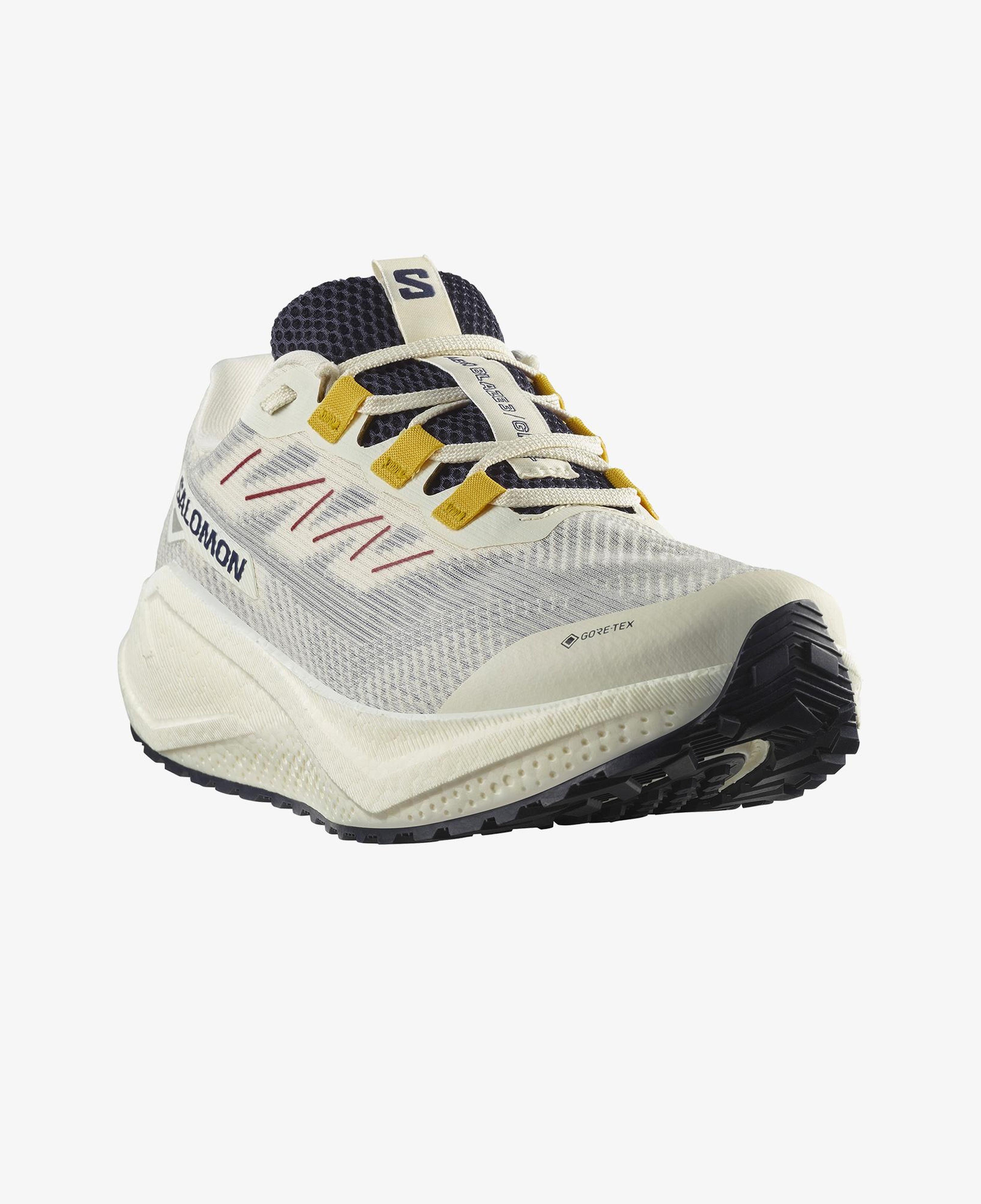 Salomon Aero Blaze 3 Grvl Gore Tex Erkek Beyaz Koşu Ayakkabısı